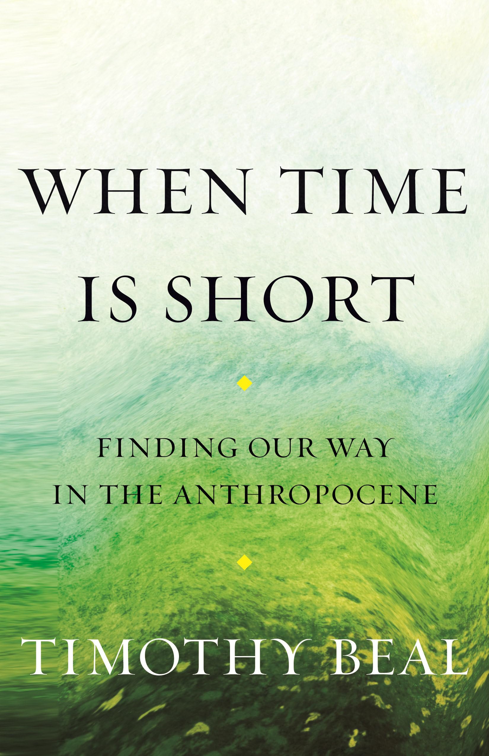 When Time Is Short: Finding Our Way In The Anthropocene,Used