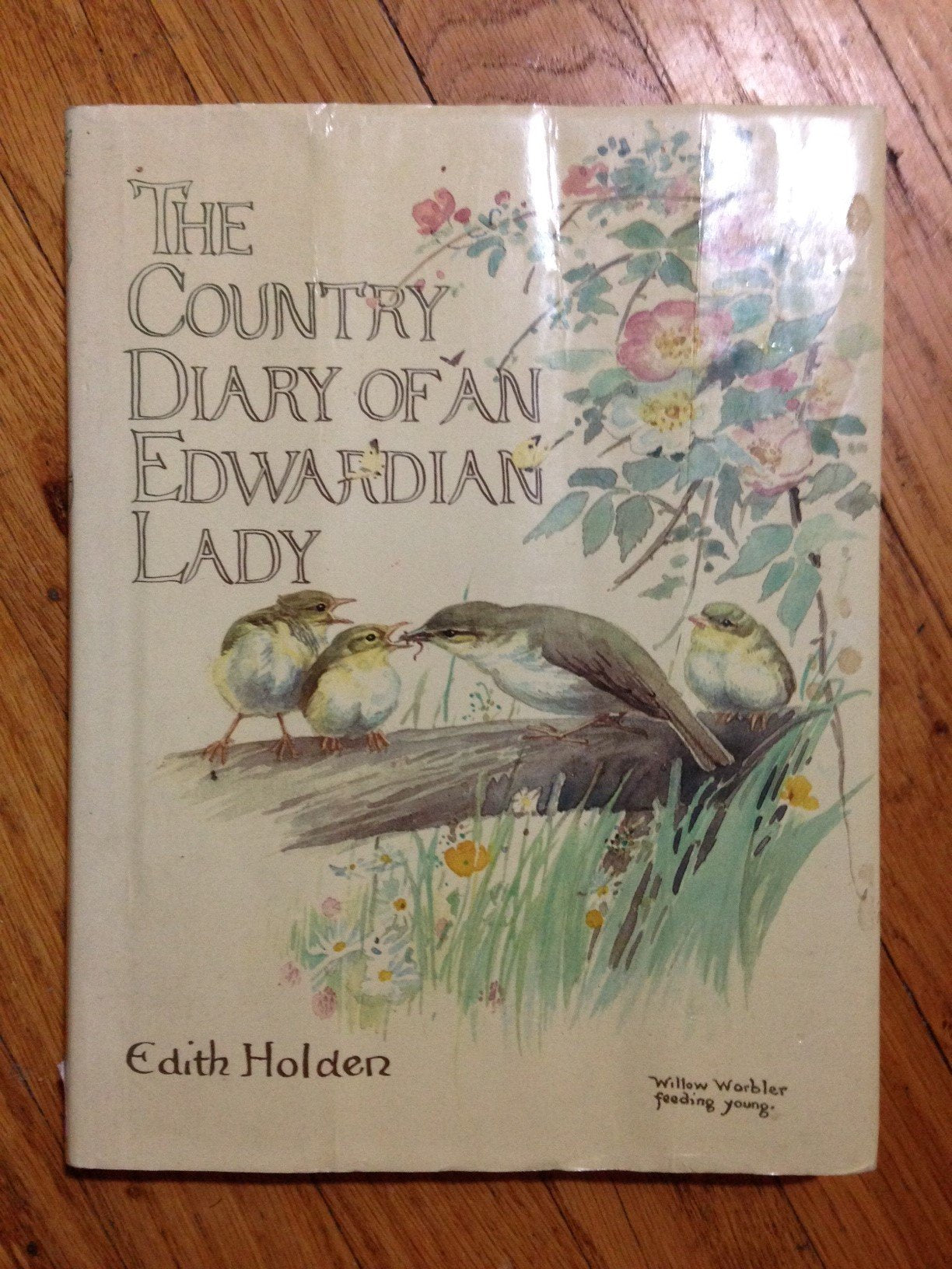 The Country Diary of an Edwardian Lady,New