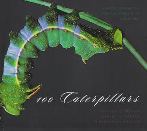 100 Caterpillars: Portraits From The Tropical Forests Of Costa Rica-new,New