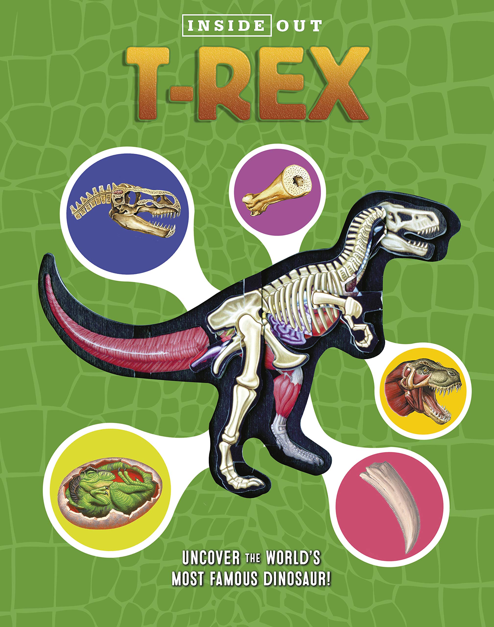 Inside Out T. Rex: Explore the World's Most Famous Dinosaur!,Used