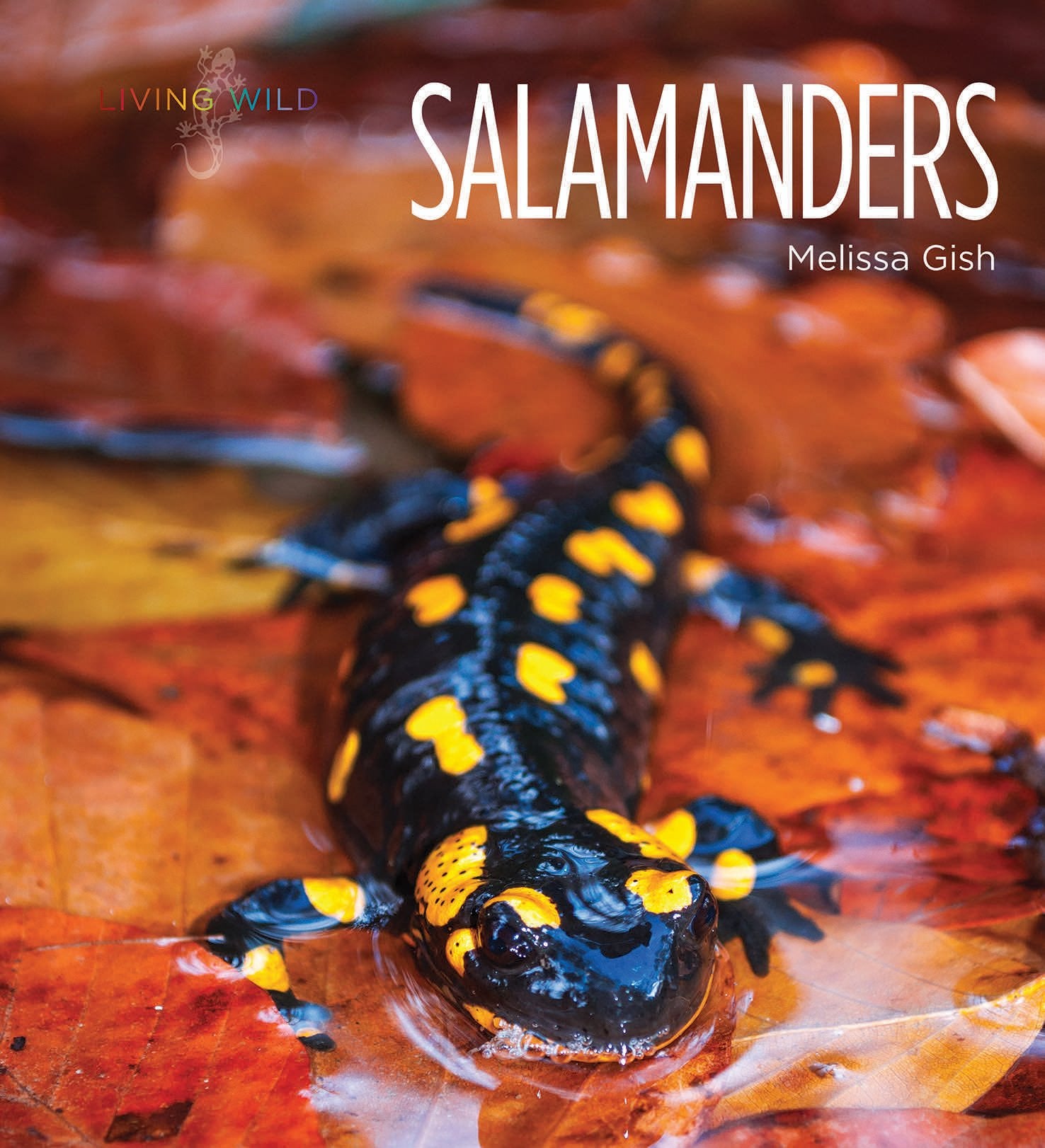 Salamanders (Living Wild)