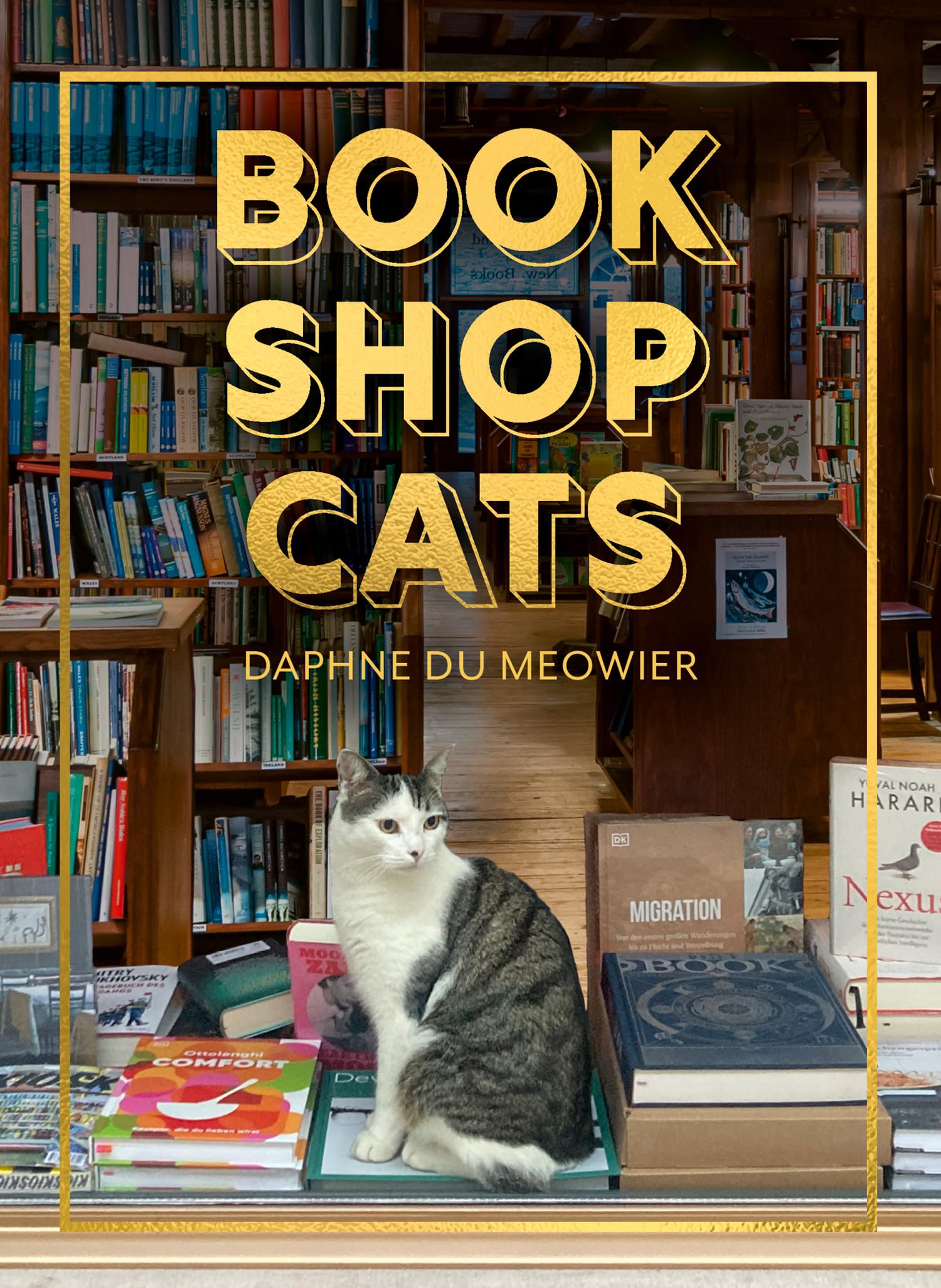 Bookshop Cats: A Beautifully Illustrated Photography Book Of Cozy Bookstore Moggies