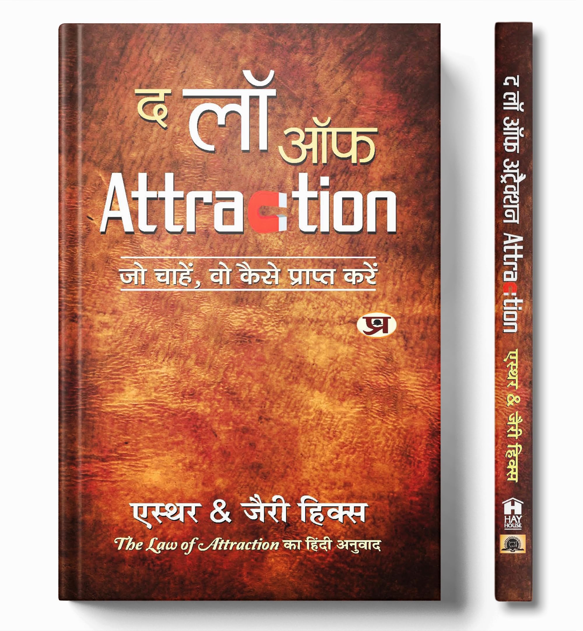 The Law Of Attraction (Hindi)