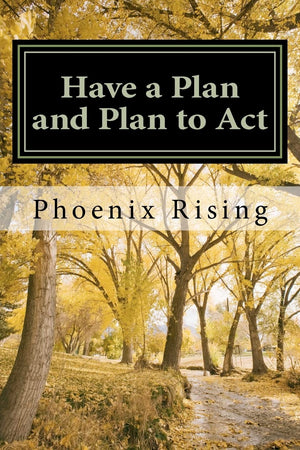 Have A Plan And Plan To Act: A Guide To Successful, Victorious Living, In Tumultuous Times,Used