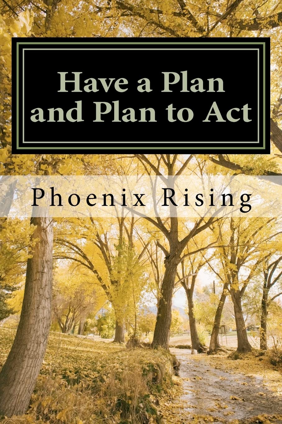 Have A Plan And Plan To Act: A Guide To Successful, Victorious Living, In Tumultuous Times,Used
