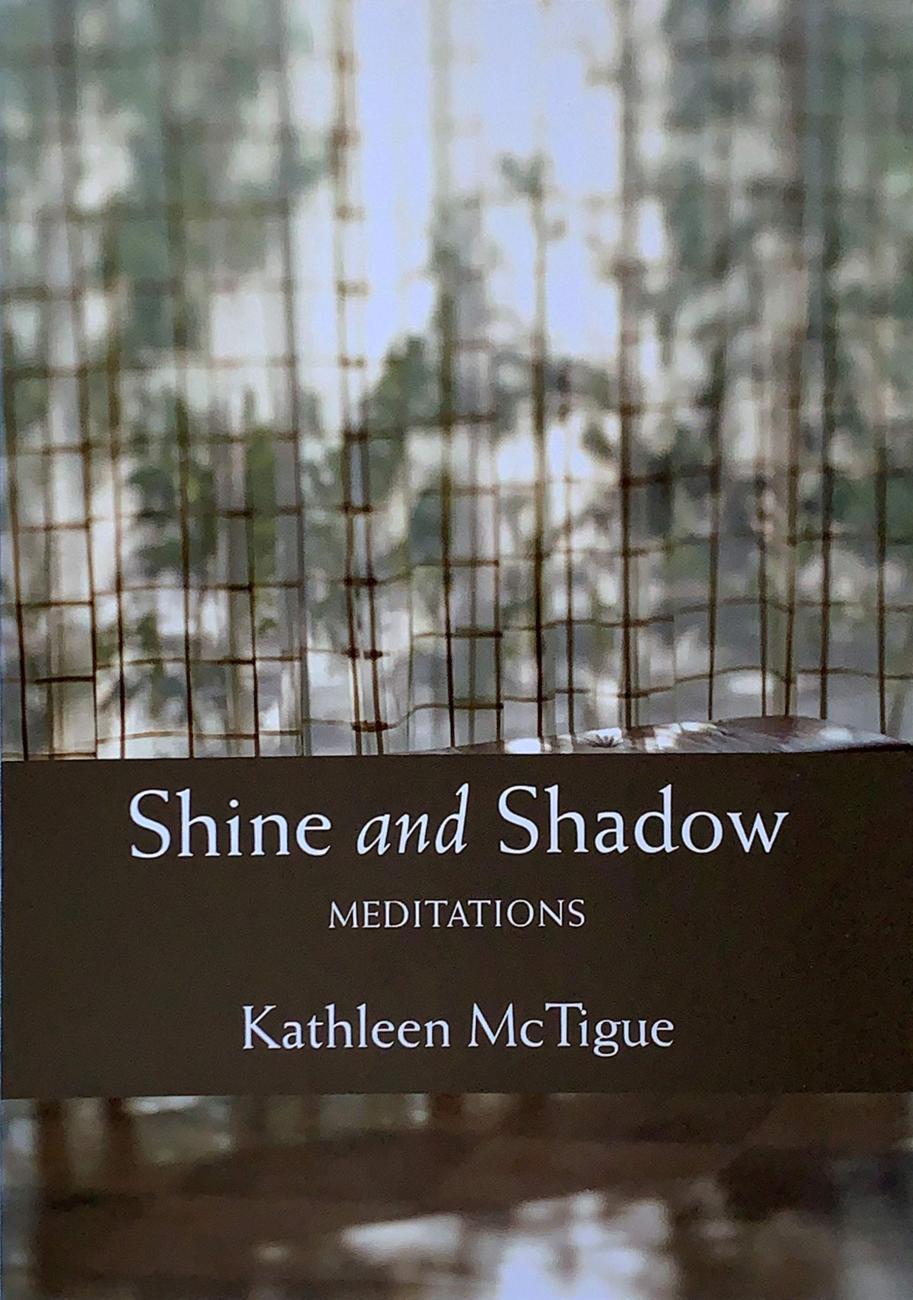 Shine and Shadow: Meditations,Used