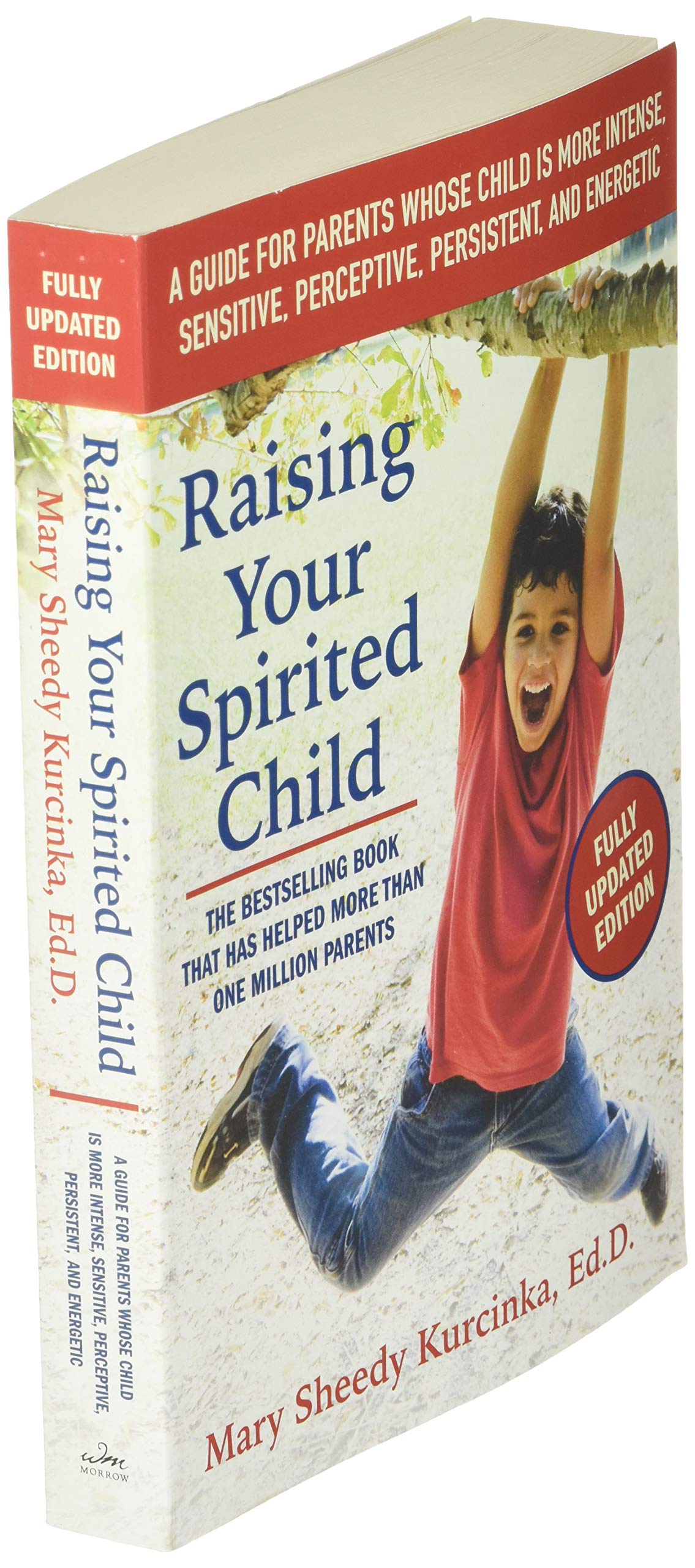 Raising Your Spirited Child, Third Edition: A Guide For Parents Whose Child Is More Intense, Sensitive, Perceptive, Persistent, -used