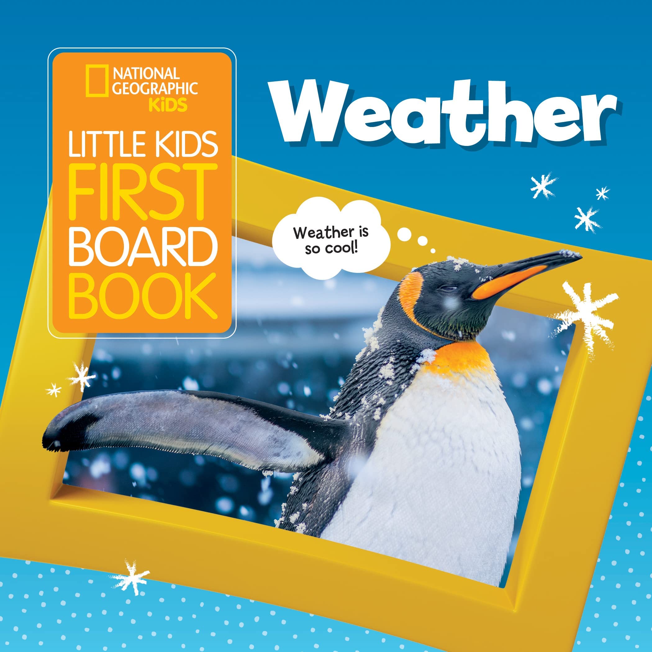 Little Kids First Board Book: Weather (First Board Books),Used