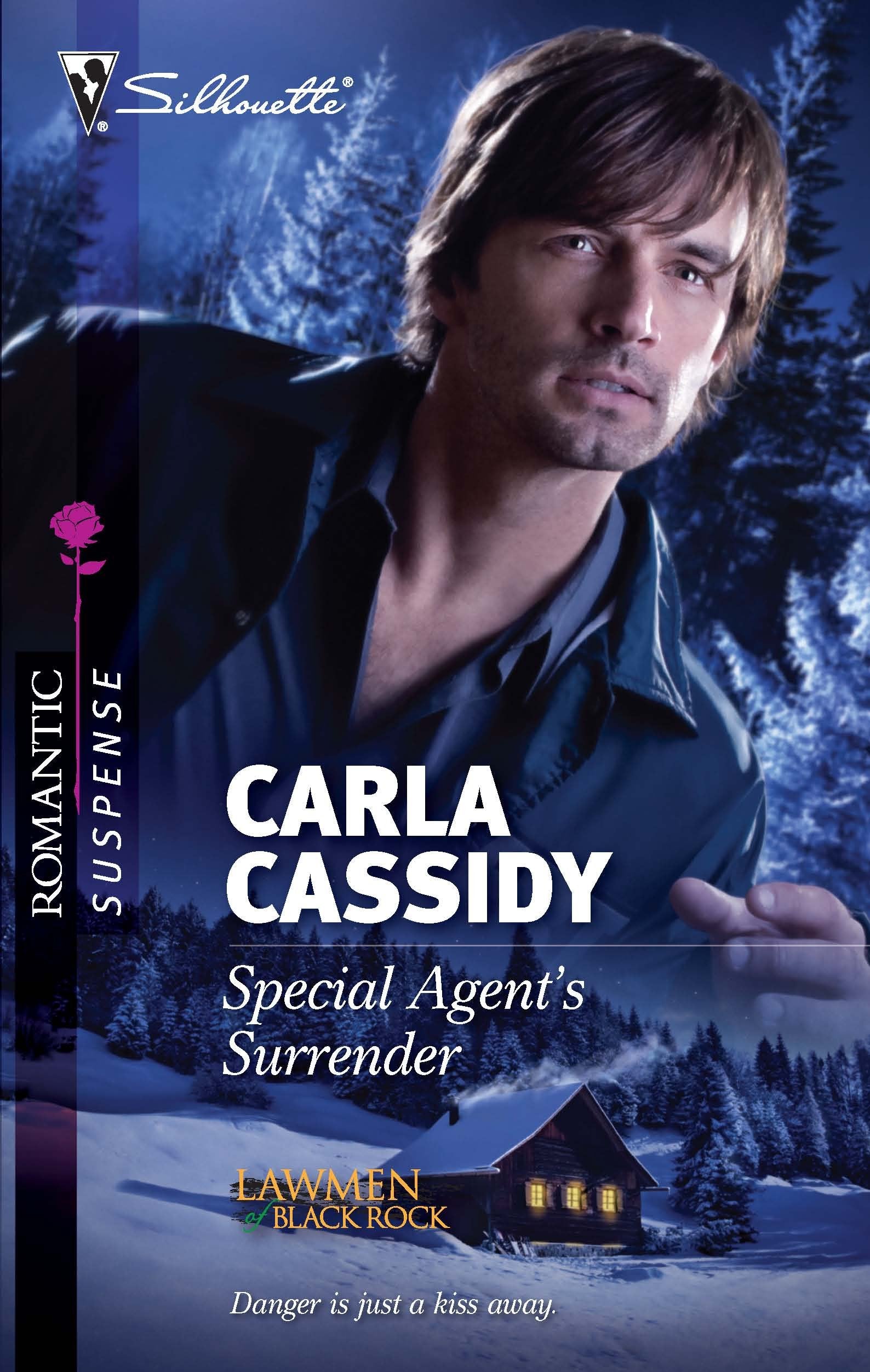 Special Agent's Surrender (Silhouette Romantic Suspense),Used
