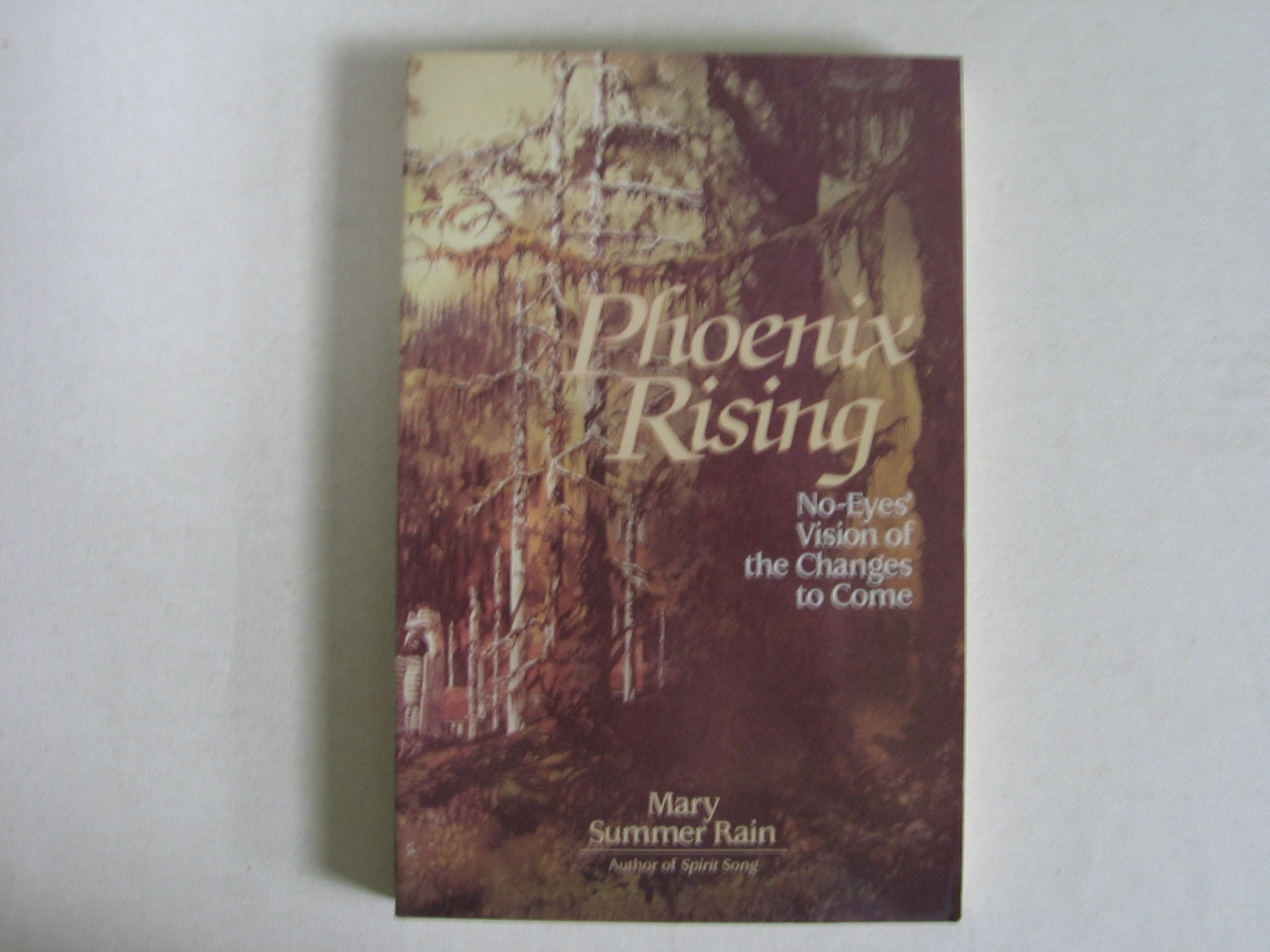 Phoenix Rising: Noeyes' Vision Of The Changes To Come