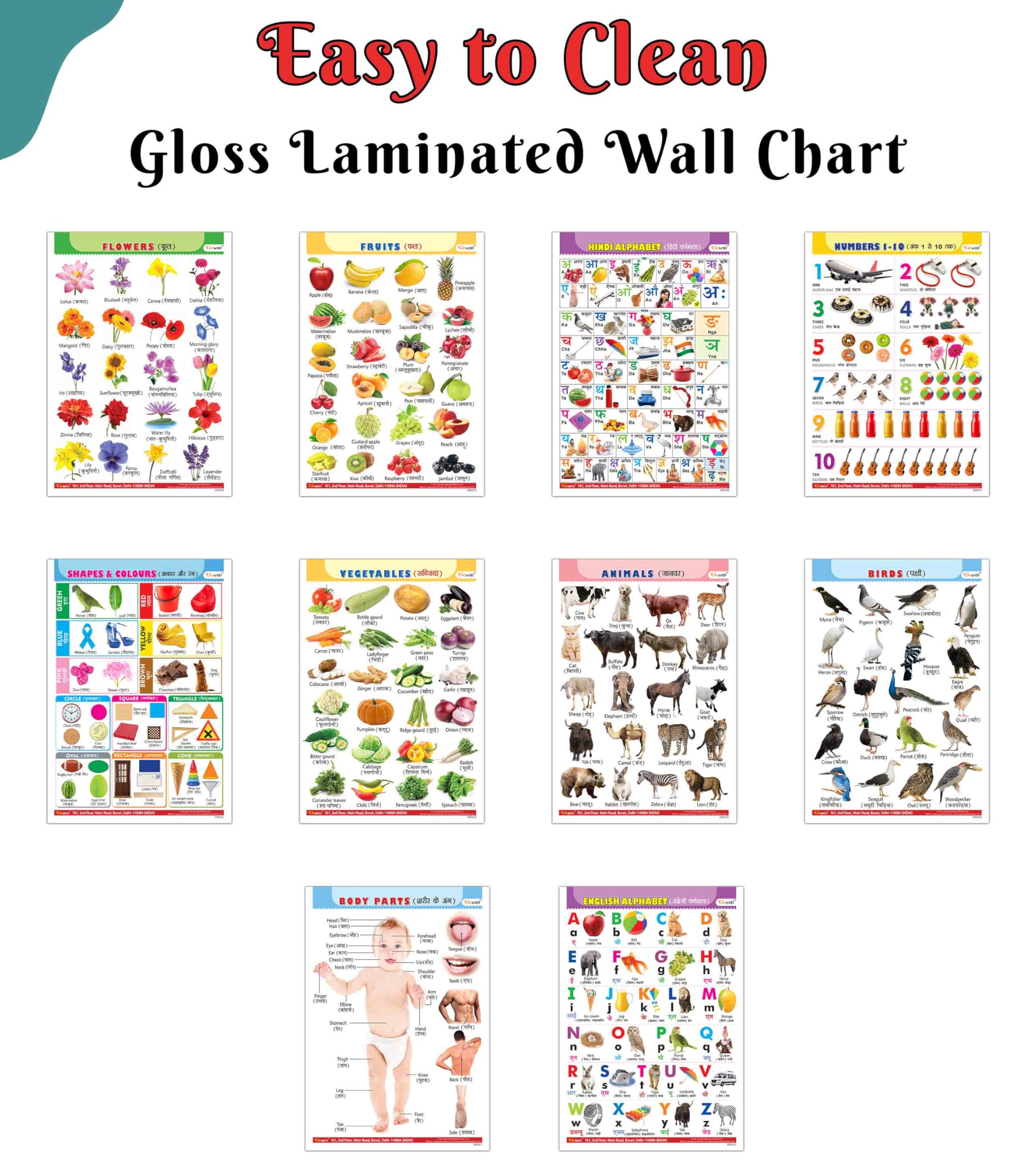 Alphabet, Fruits, Vegetables, Animals, Birds, Body Parts, Numbers, Hindi Varnmala, Shapes &Colours And Flowers-Gloss Lamination English-Hindi Charts:Educational Posters For Children|Pack Of 10 Charts