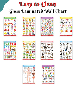Alphabet, Fruits, Vegetables, Animals, Birds, Body Parts, Numbers, Hindi Varnmala, Shapes &Colours And Flowers-Gloss Lamination English-Hindi Charts:Educational Posters For Children|Pack Of 10 Charts