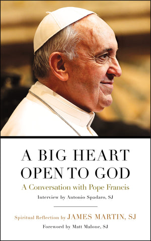 A Big Heart Open to God: A Conversation with Pope Francis,Used