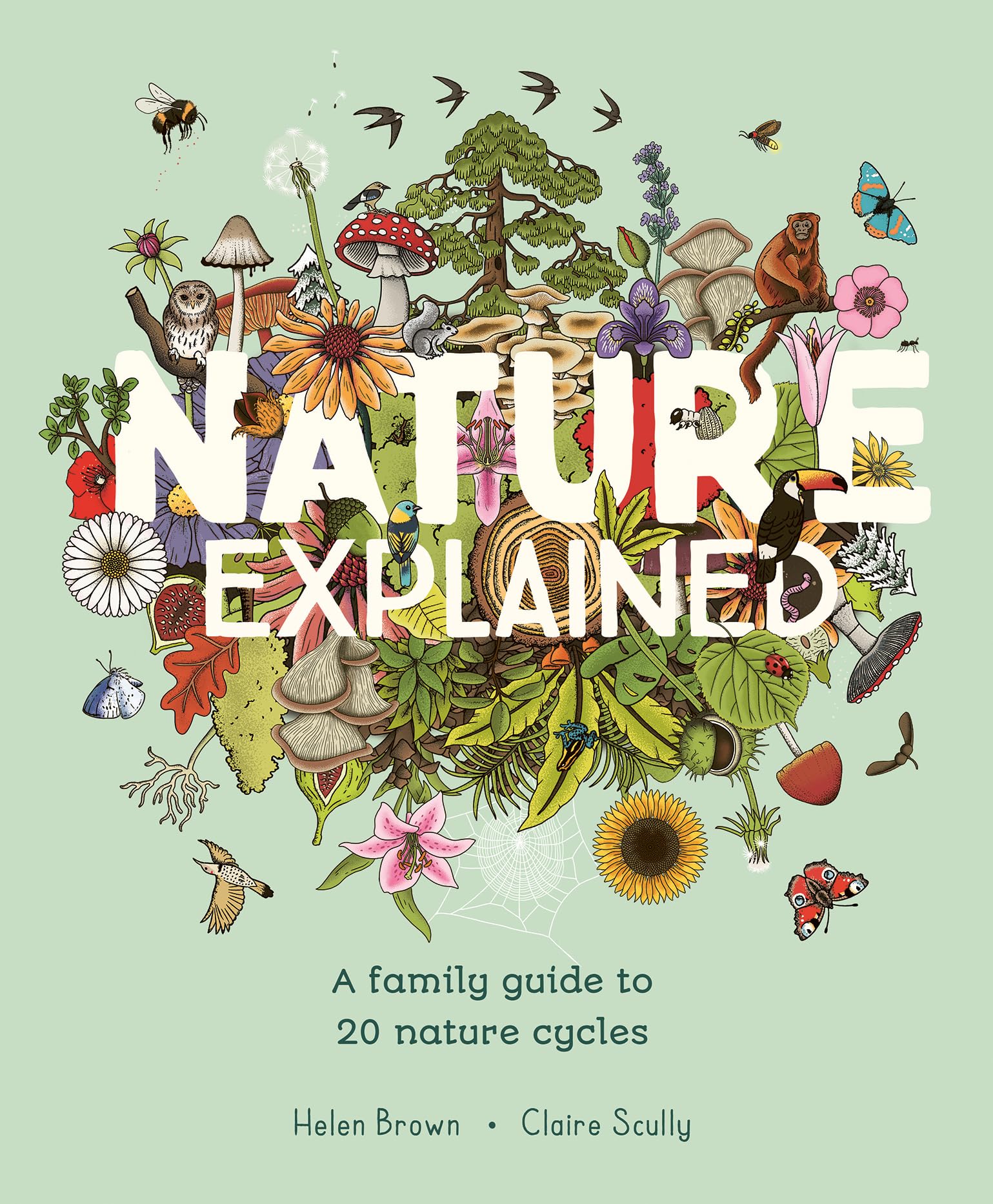 Nature Explained: Nature Cycles, Simply Told