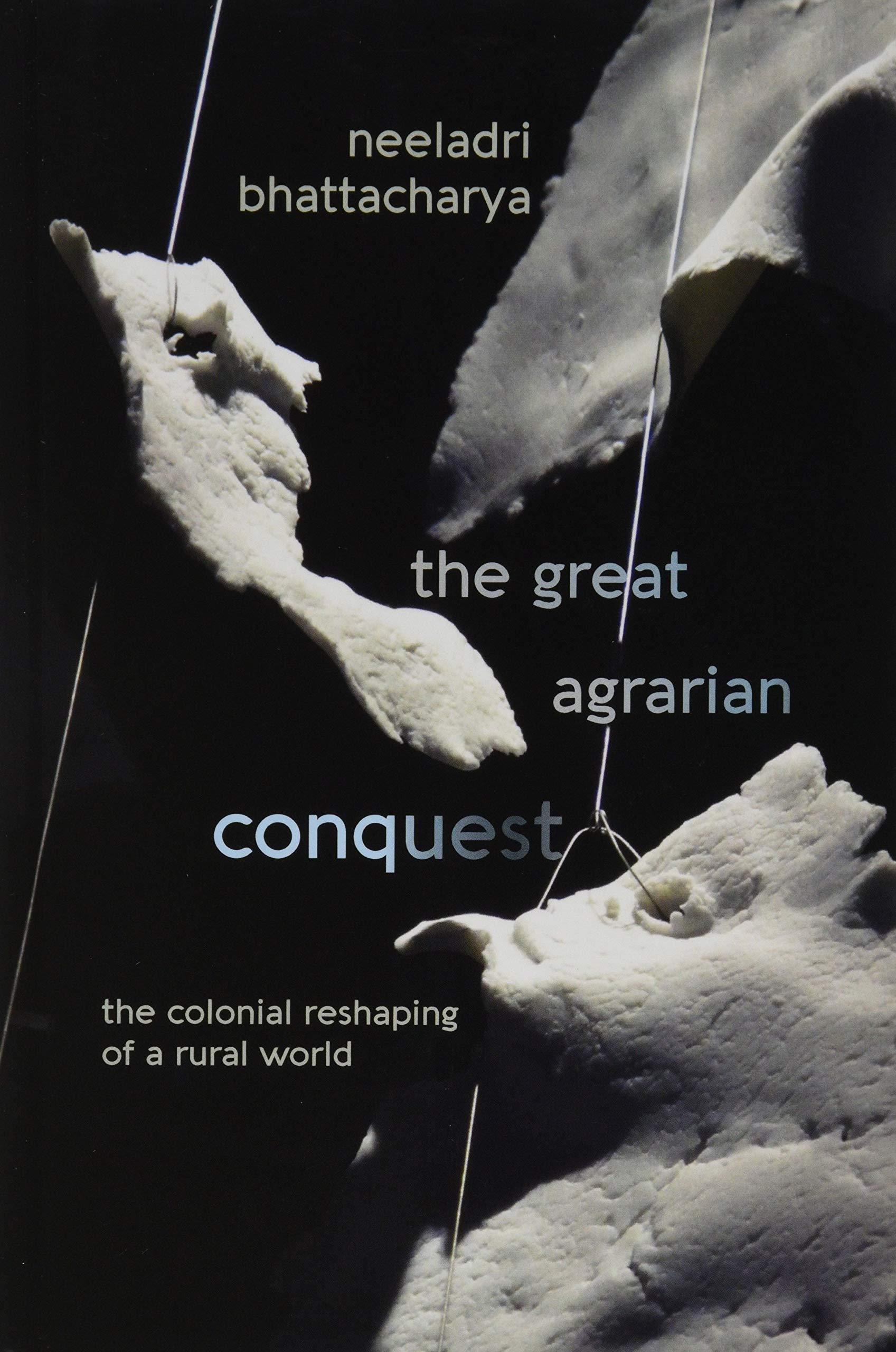 The Great Agrarian Conquest: The Colonial Reshaping of a Rural World,Used