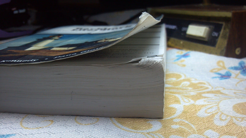 Backpack Literature: An Introduction To Fiction, Poetry, Drama, And Writing,Used