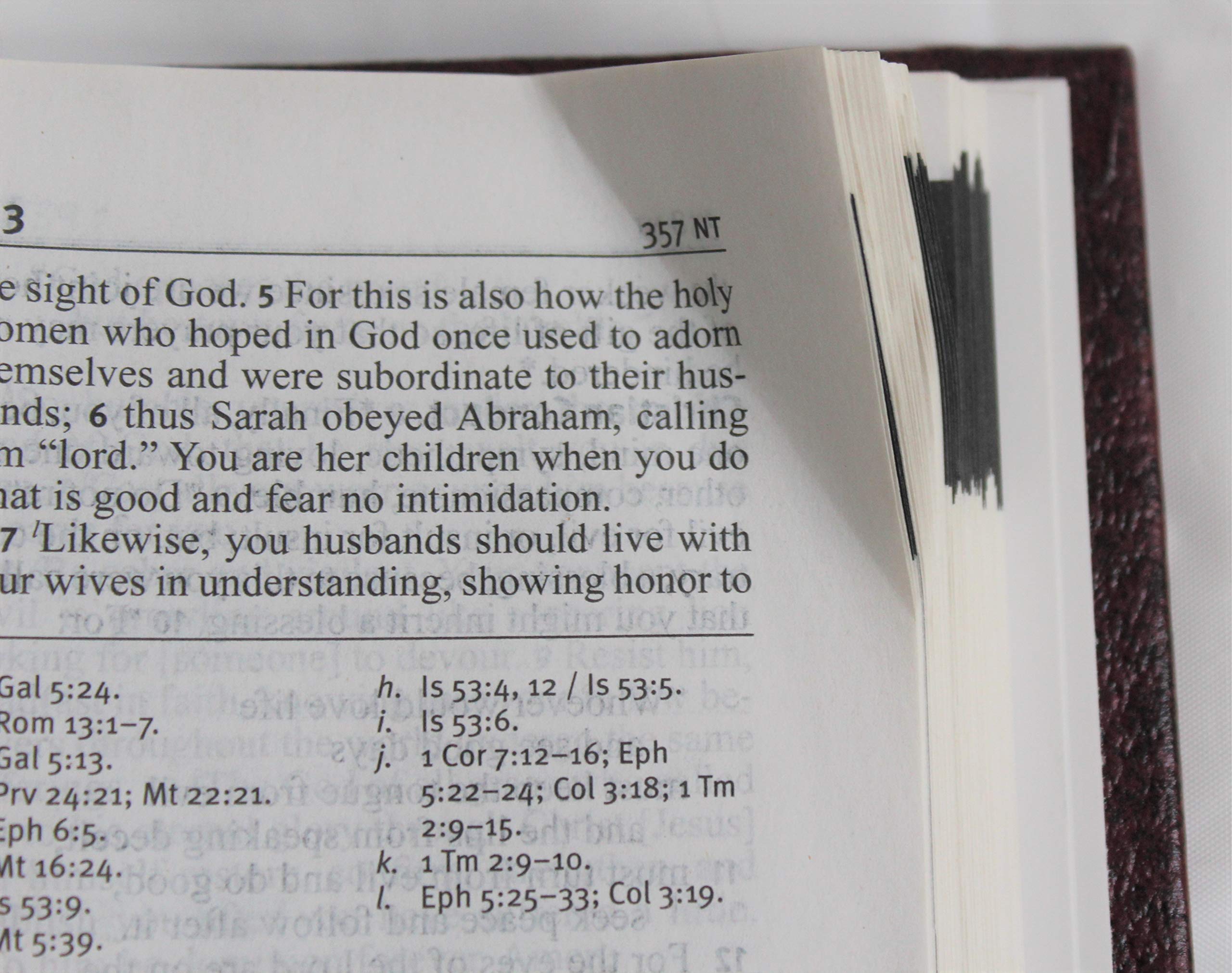 Holy Bible: New American Bible, Revised  School & Church Edition,Used