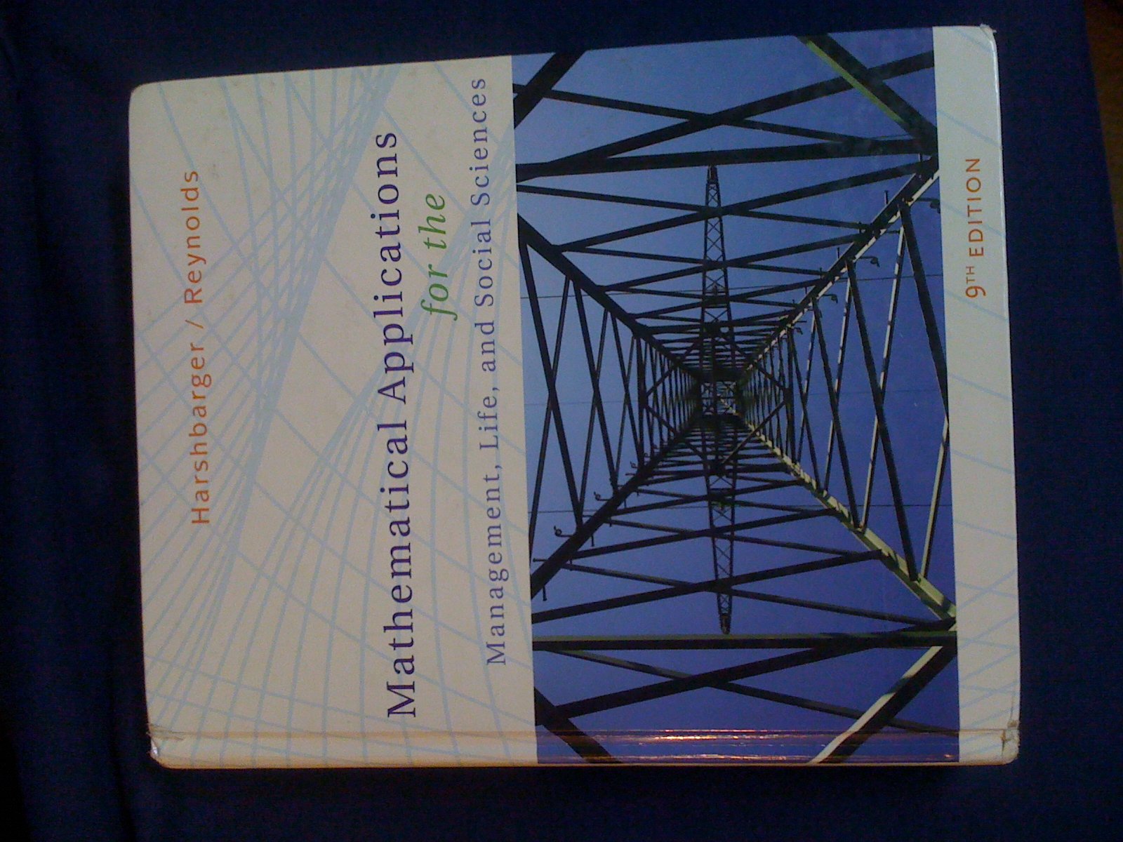 Mathematical Applications for the Management, Life, and Social Sciences (Available 2010 Titles Enhanced Web Assign),Used