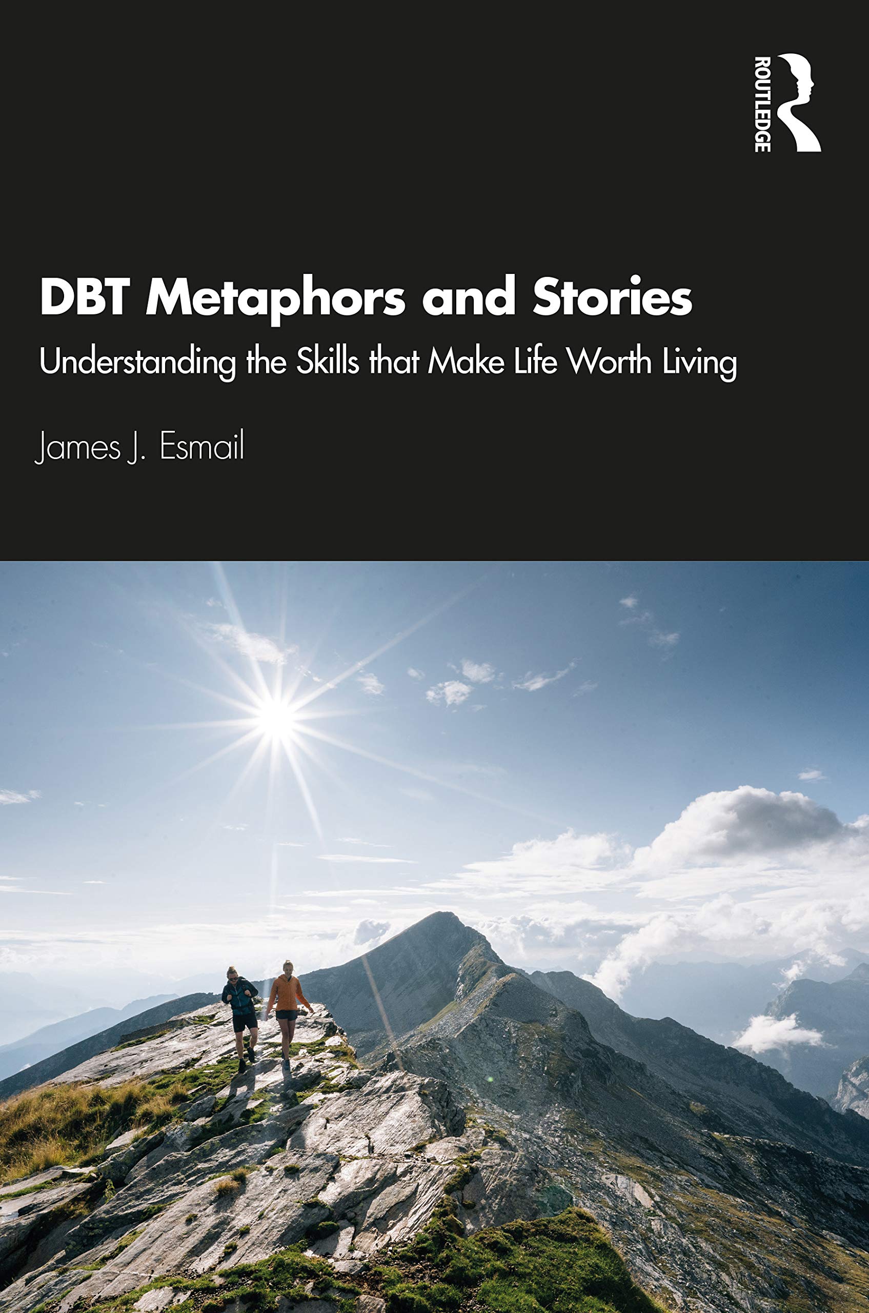 DBT Metaphors and Stories,Used