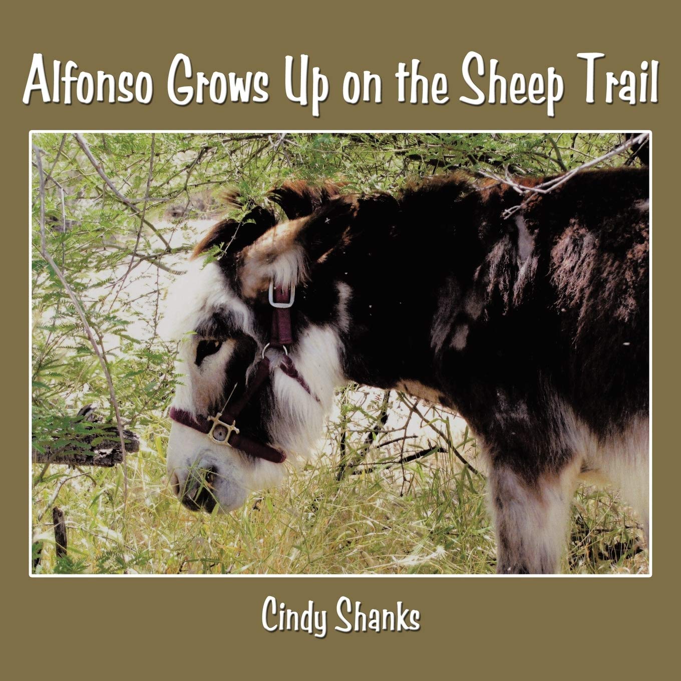 Alfonso Grows Up On The Sheep Trail,Used