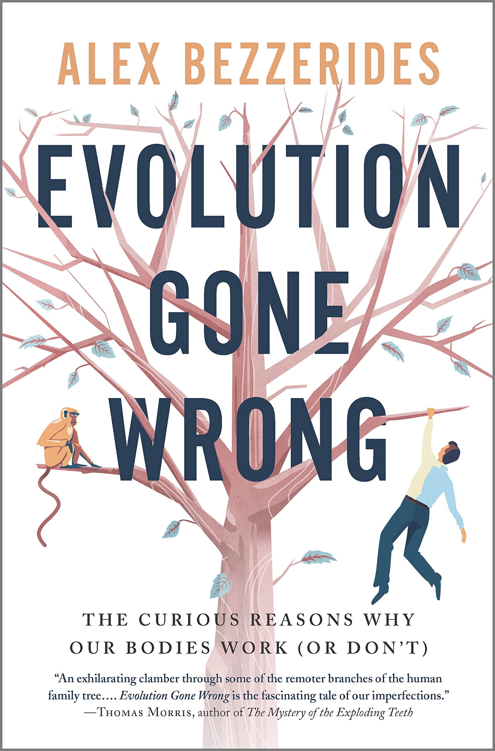 Evolution Gone Wrong: The Curious Reasons Why Our Bodies Work (Or Don't),Used
