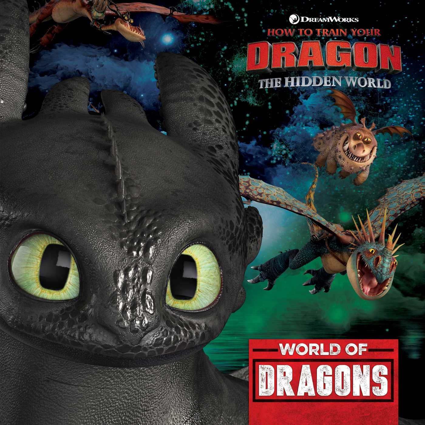 World of Dragons (How To Train Your Dragon: Hidden World),Used