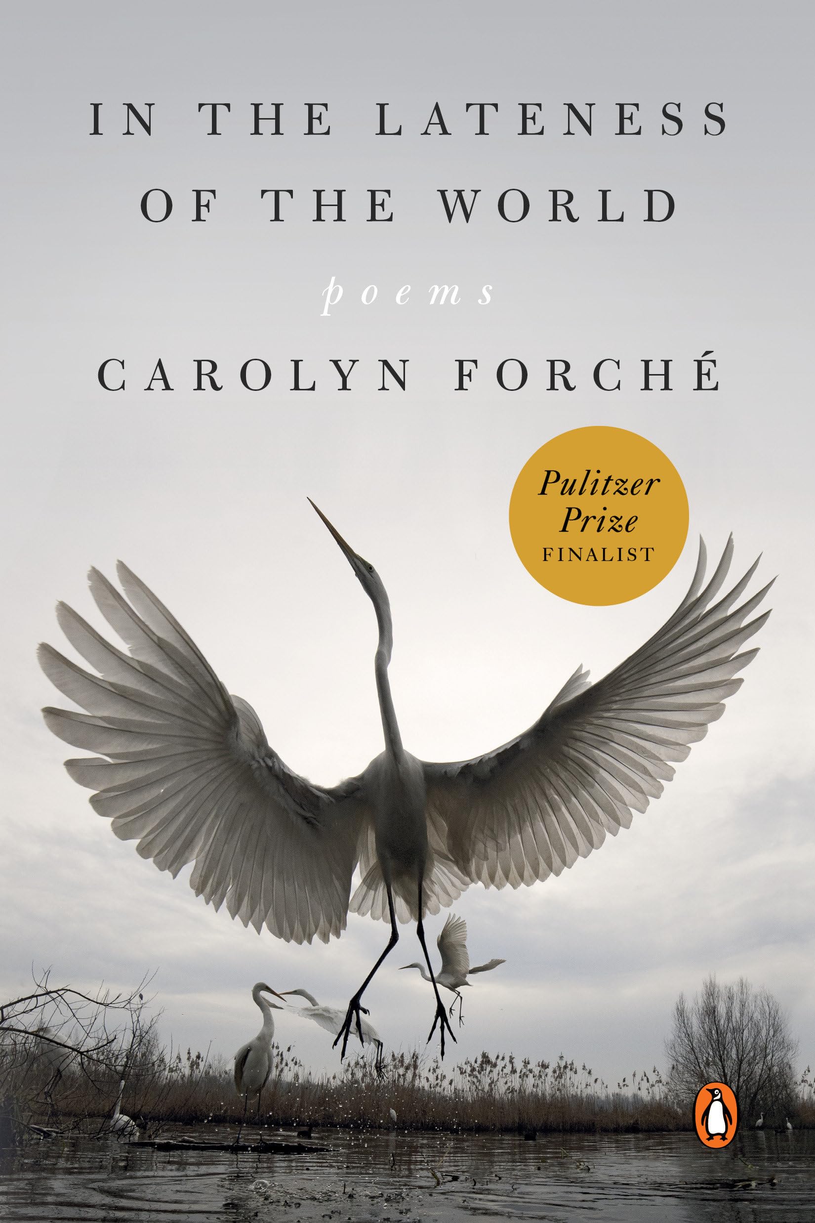 In the Lateness of the World: Poems,Used