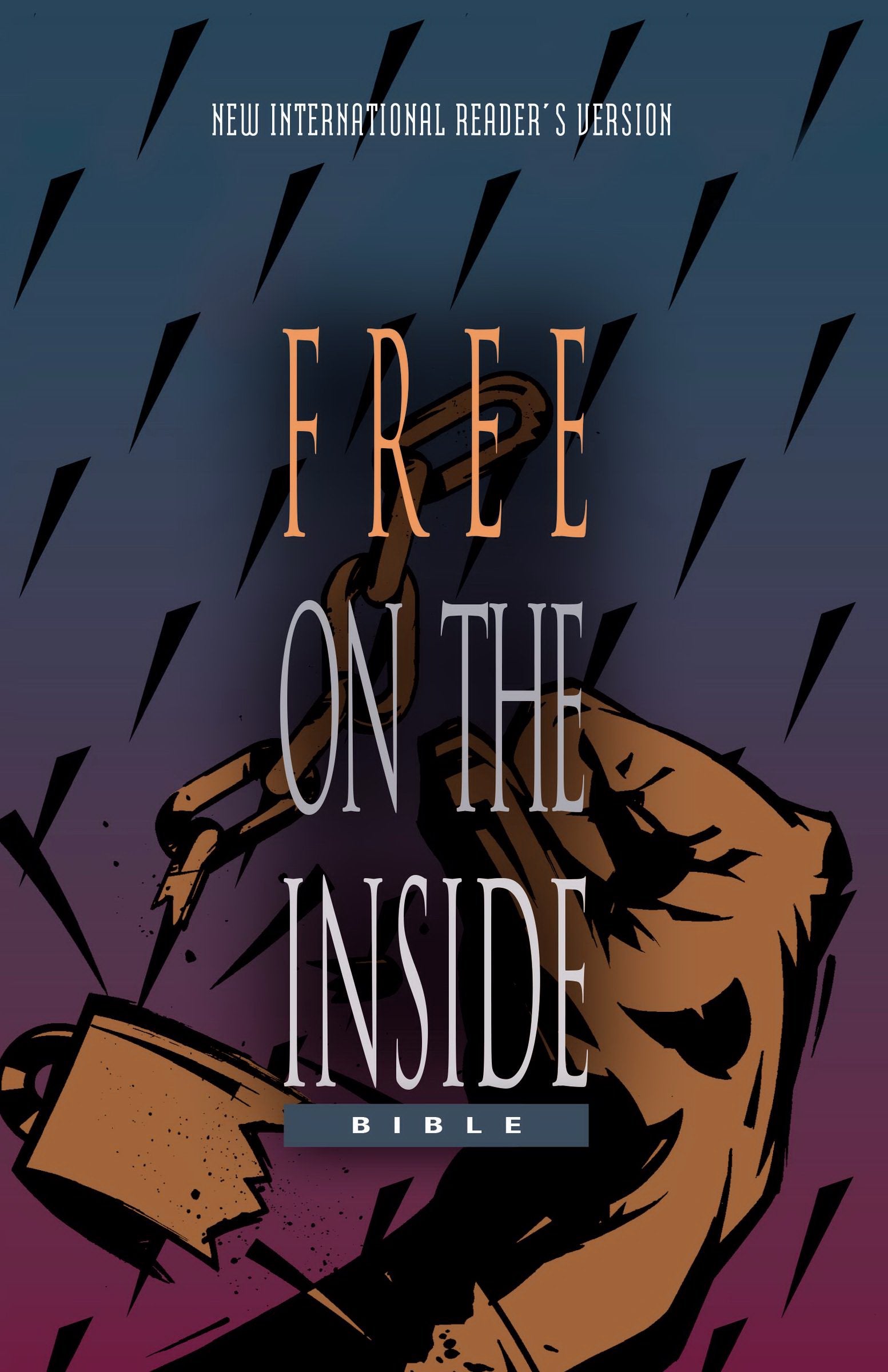 NIrV, Free on the Inside Bible, Paperback,Used