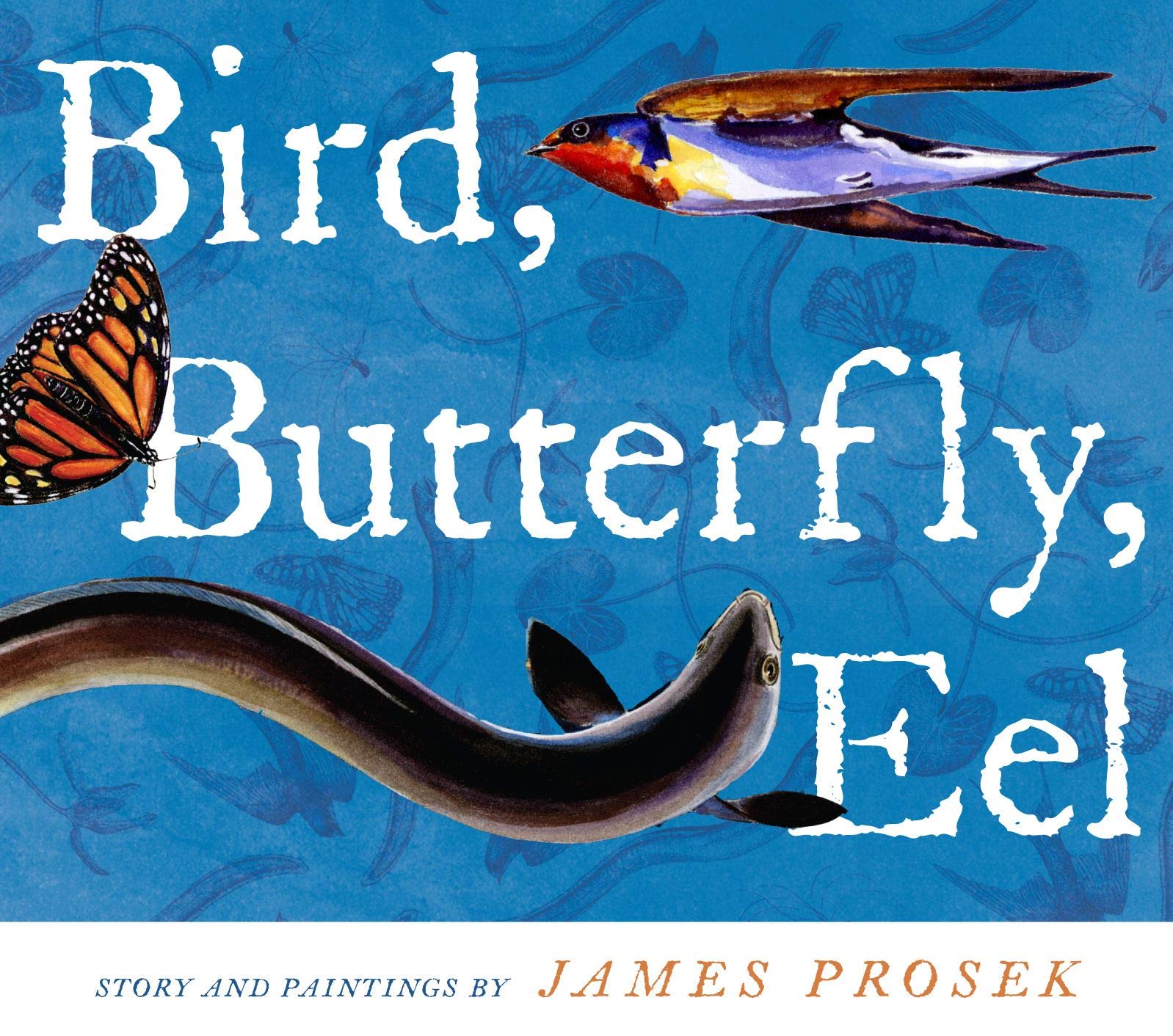 Bird, Butterfly, Eel,Used