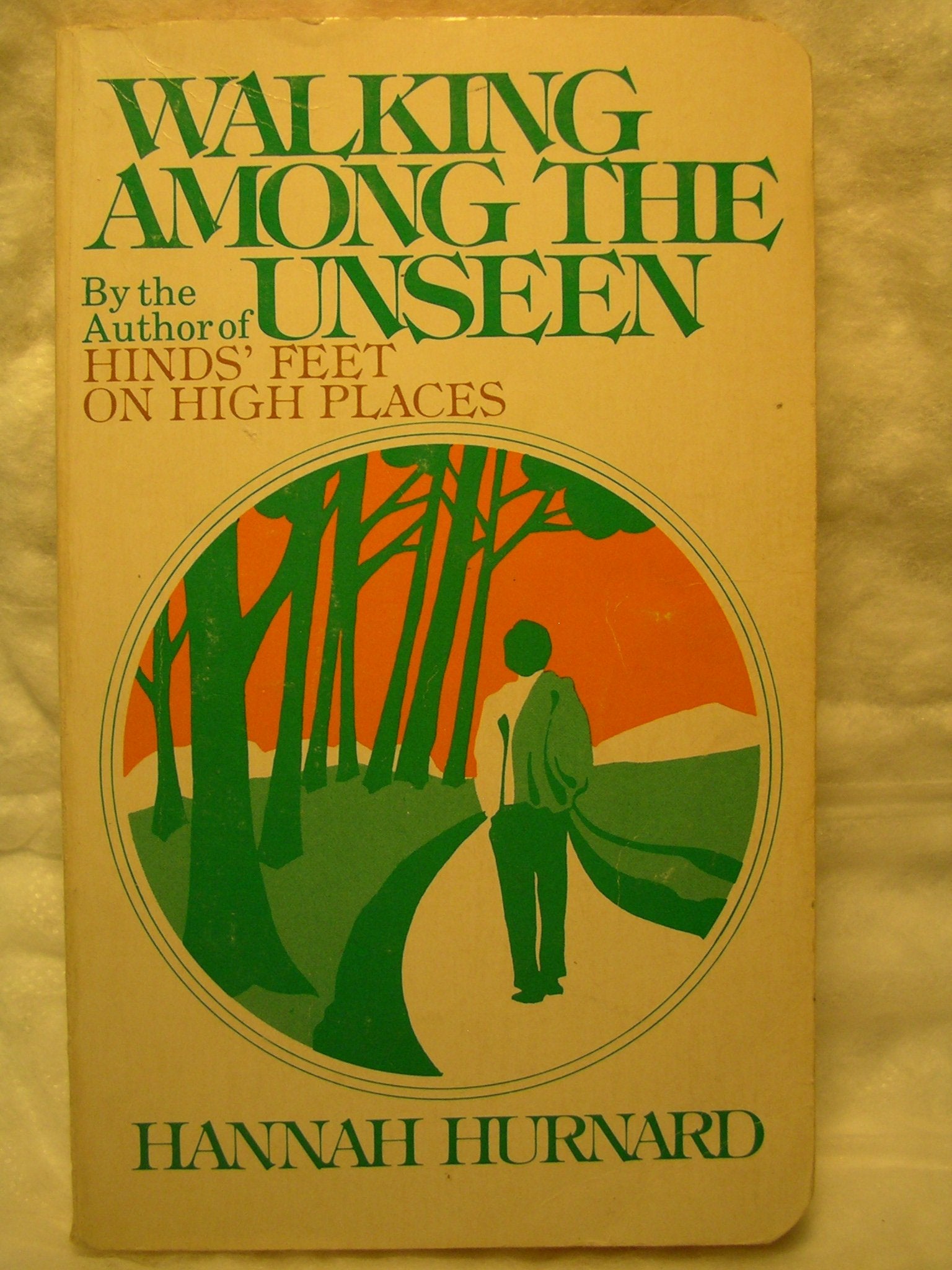 Walking Among the Unseen,Used