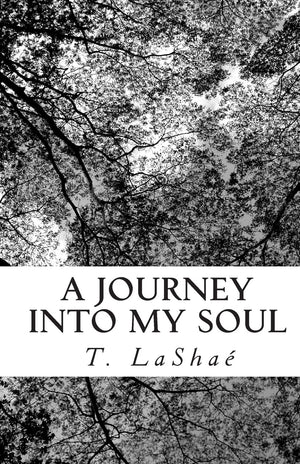 A Journey Into My Soul,Used