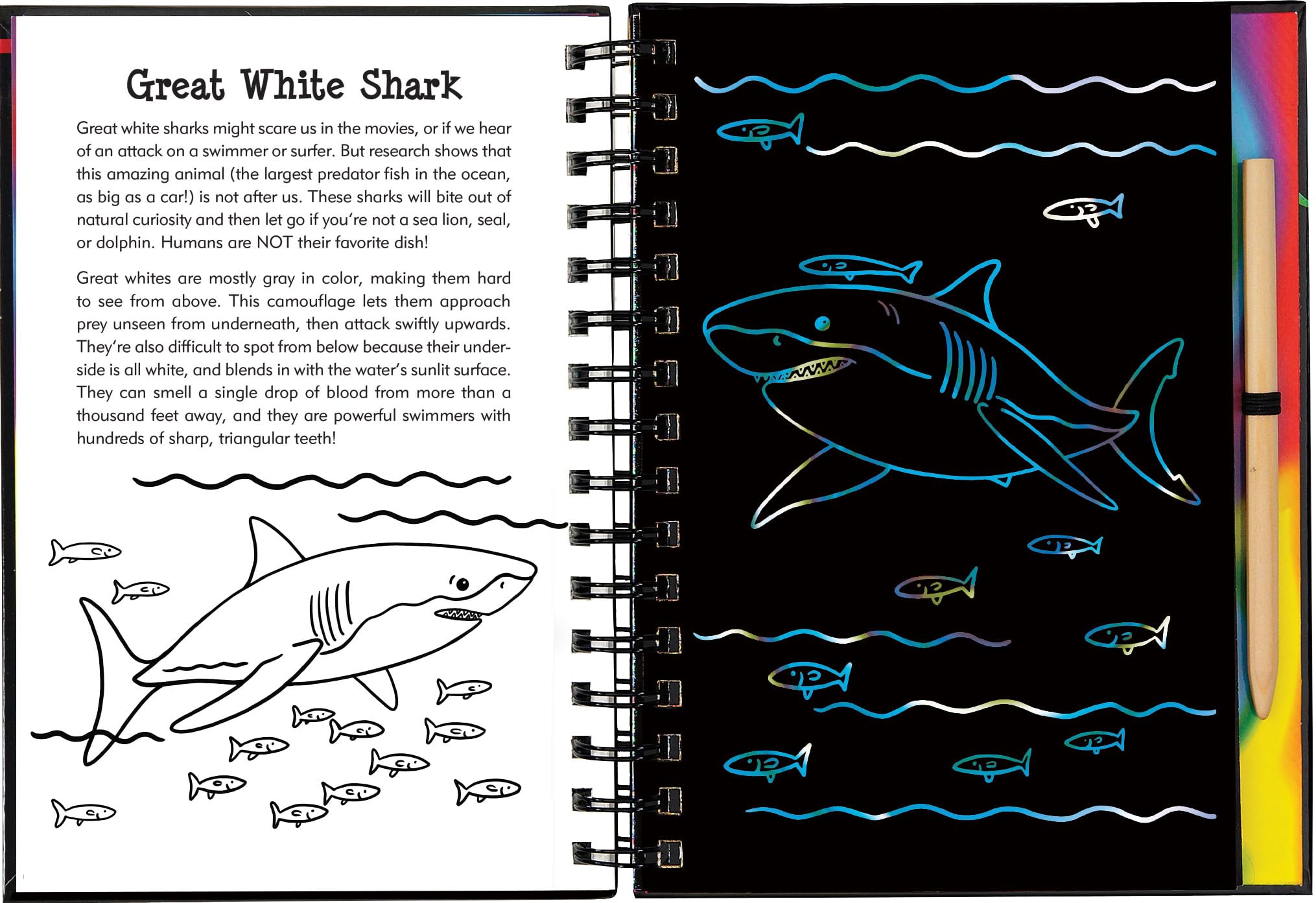 Scratch & Sketch Sharks (Trace Along),Used