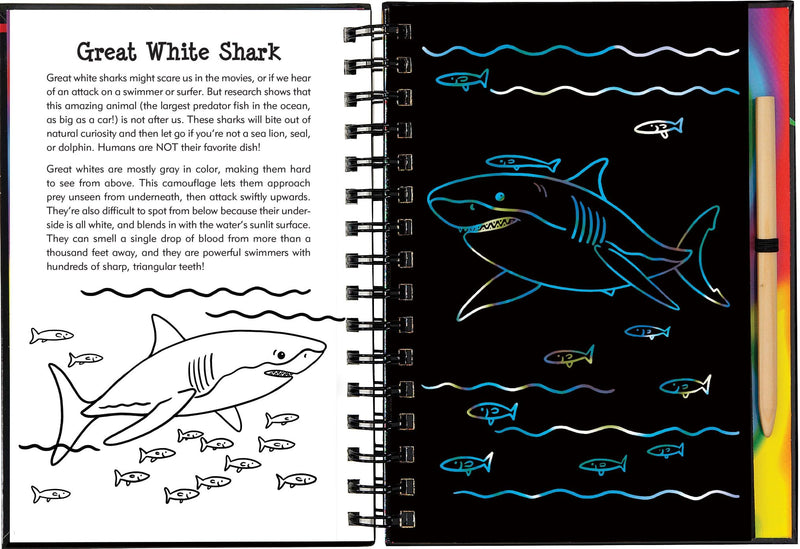 Scratch & Sketch Sharks (Trace Along),Used