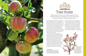 Pruning and Training, Revised New Edition: What, When, and How to Prune,Used