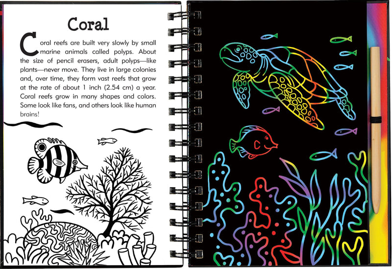 Scratch & Sketch Under the Sea (Trace Along),Used