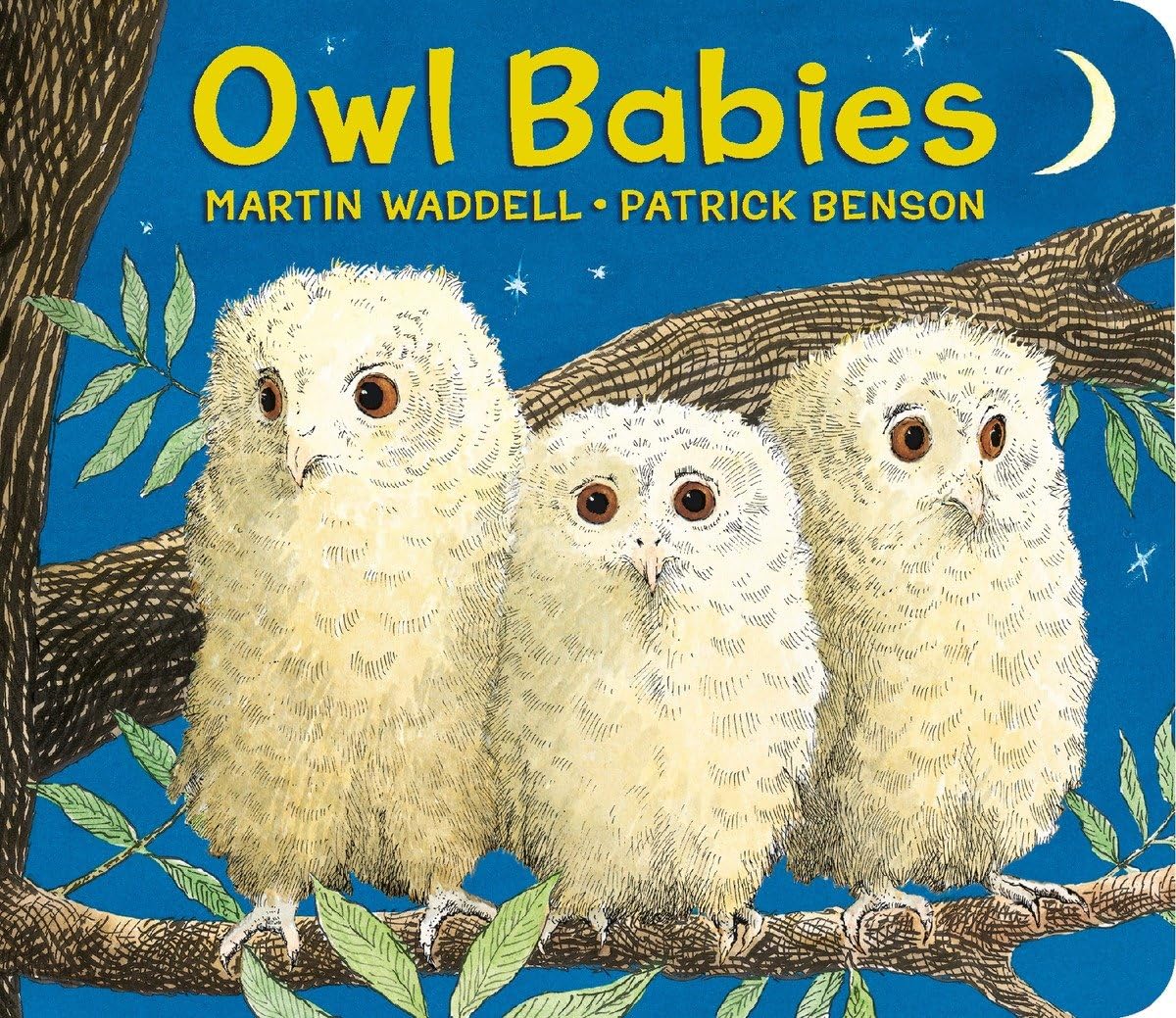 Owl Babies,Used