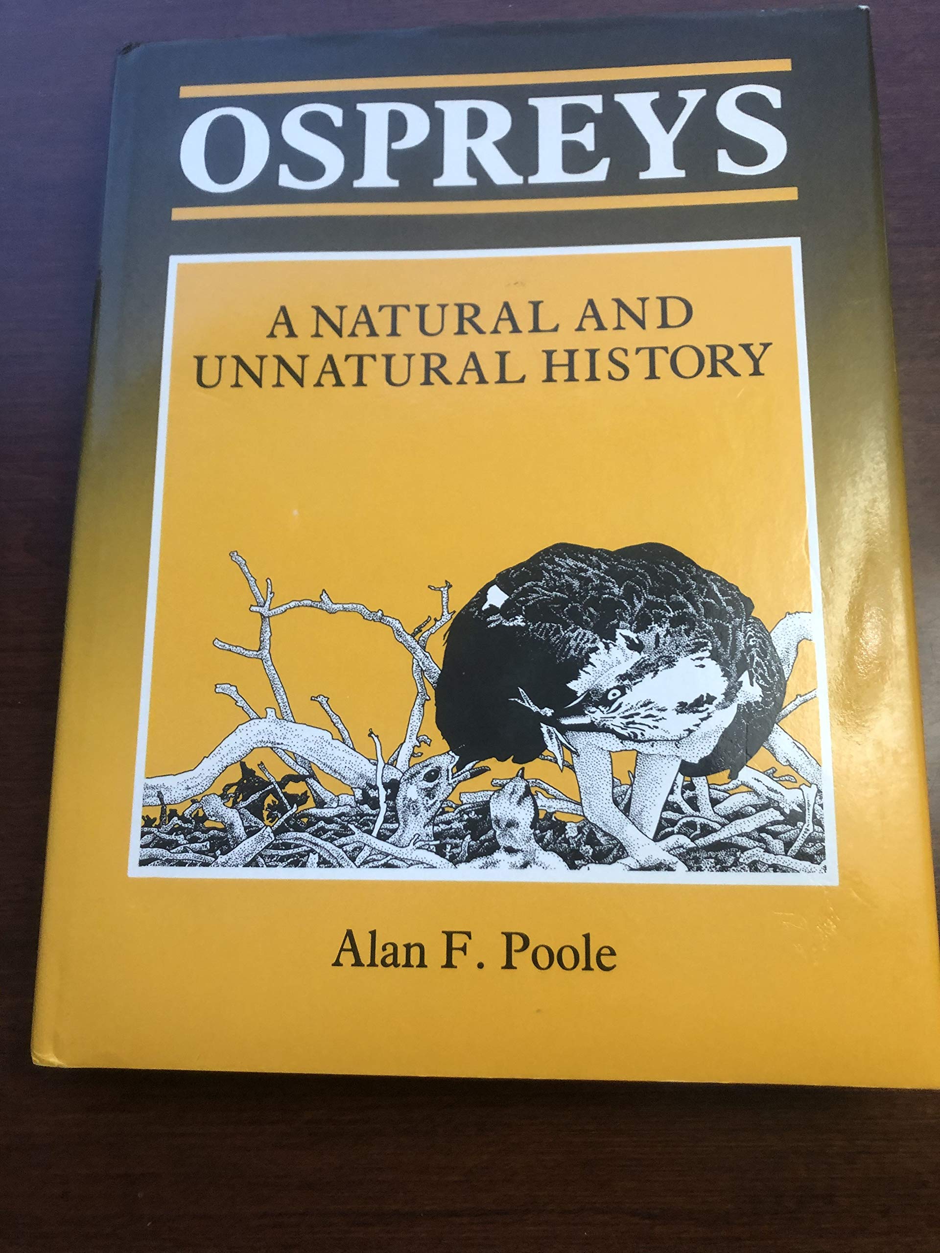 Ospreys: A Natural and Unnatural History,Used