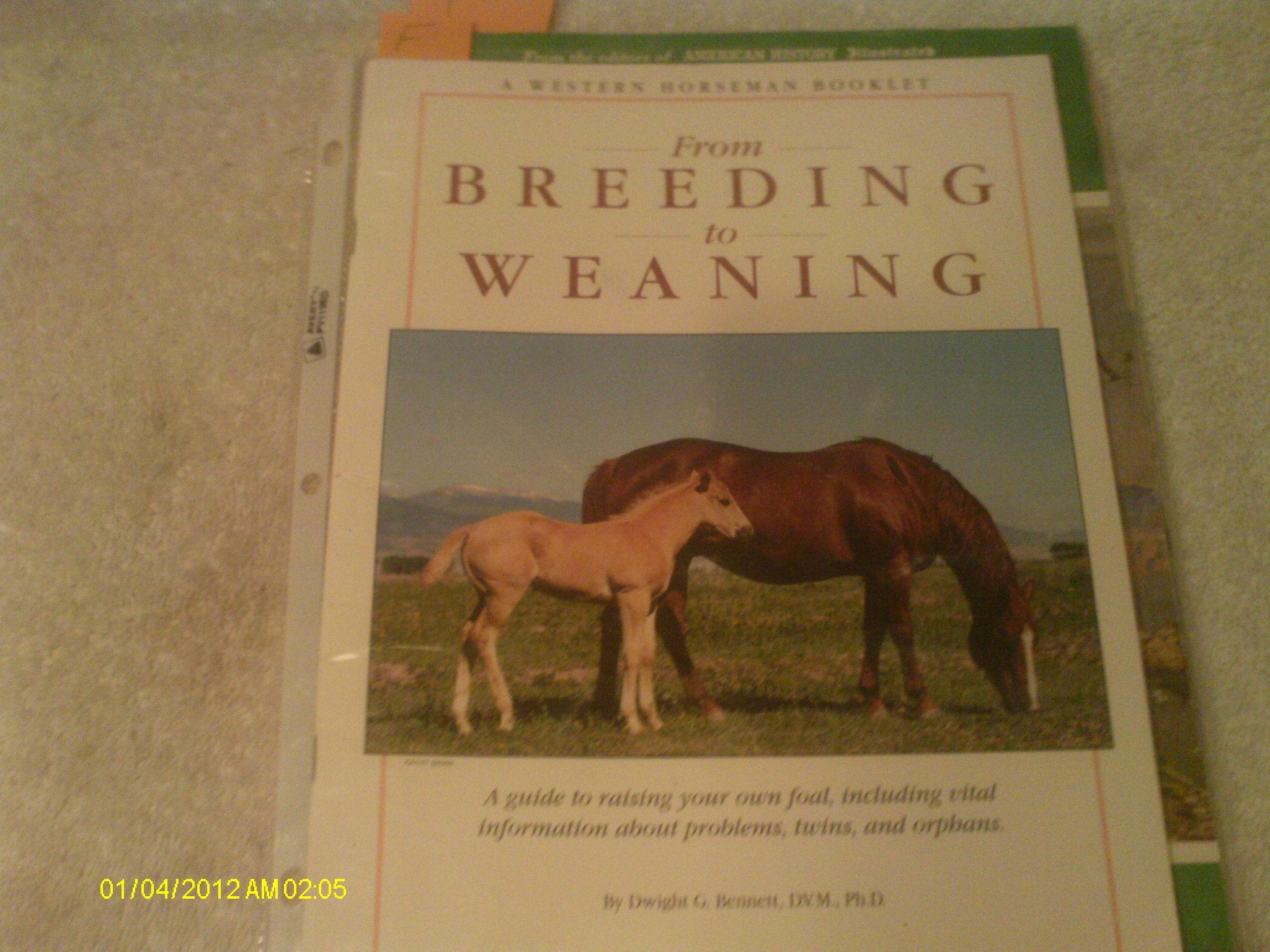 From Breeding To Weaning-used