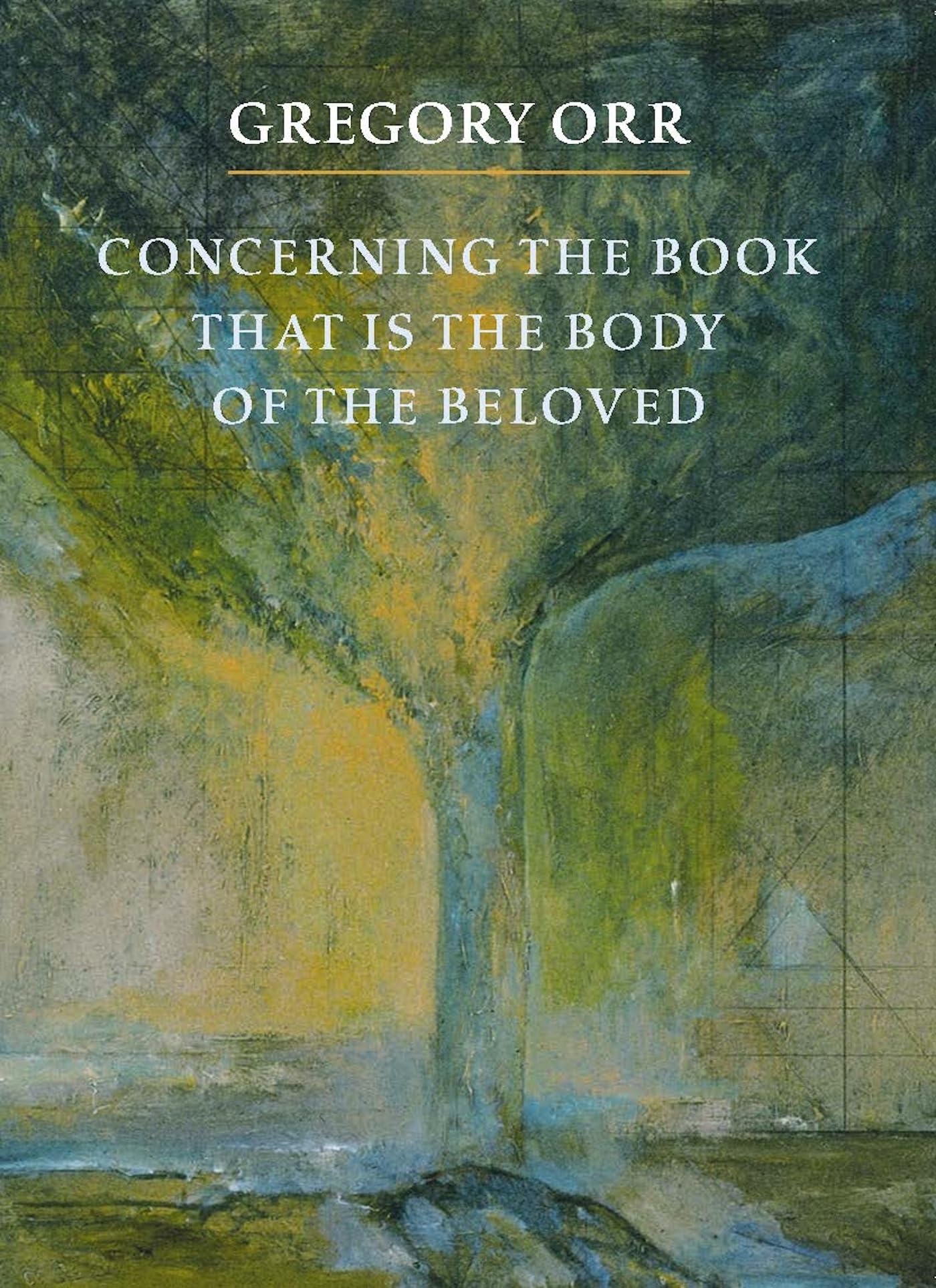 Concerning the Book that is the Body of the Beloved,Used