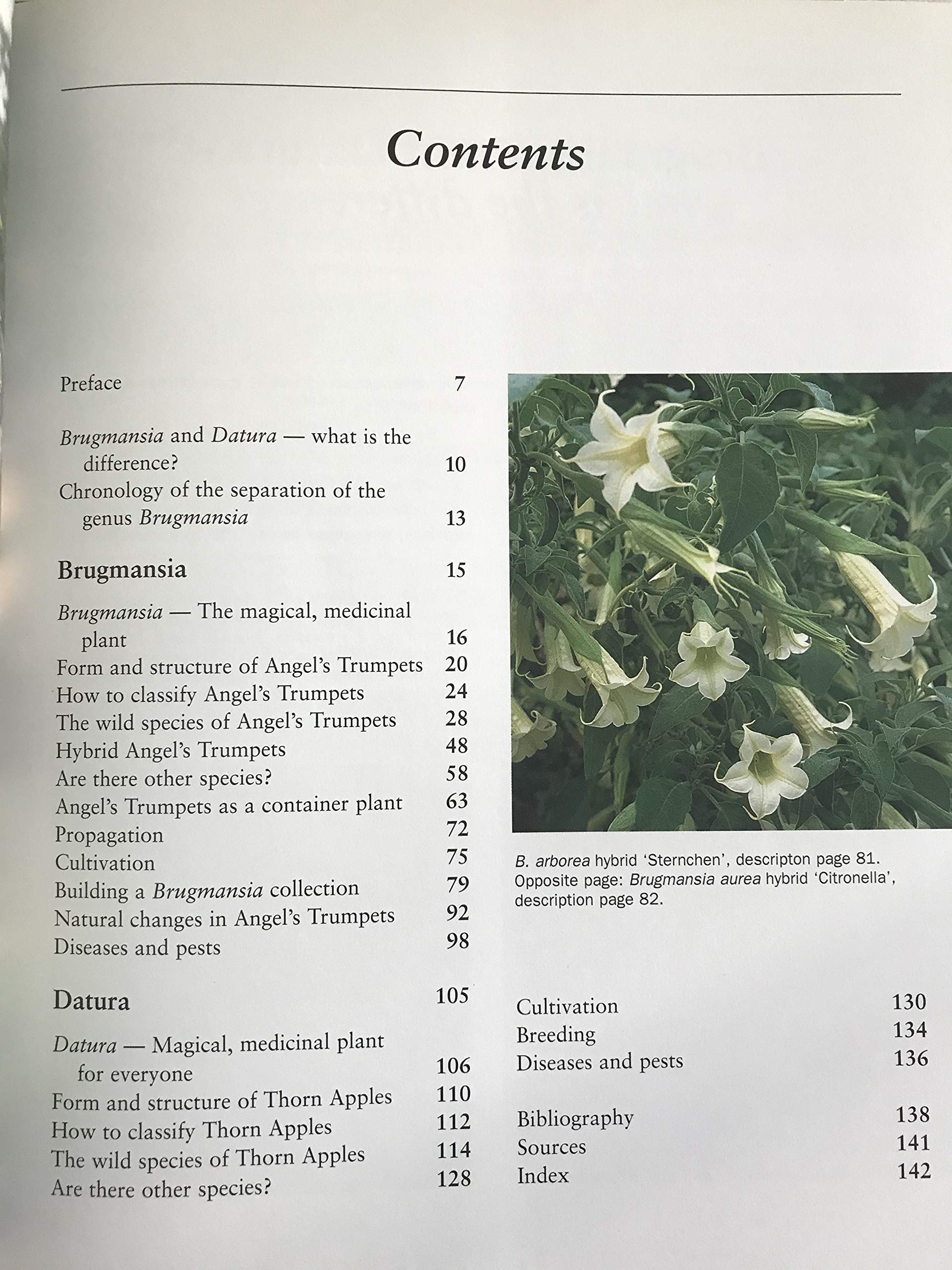 Brugmansia and Datura: Angel's Trumpets and Thorn Apples,Used