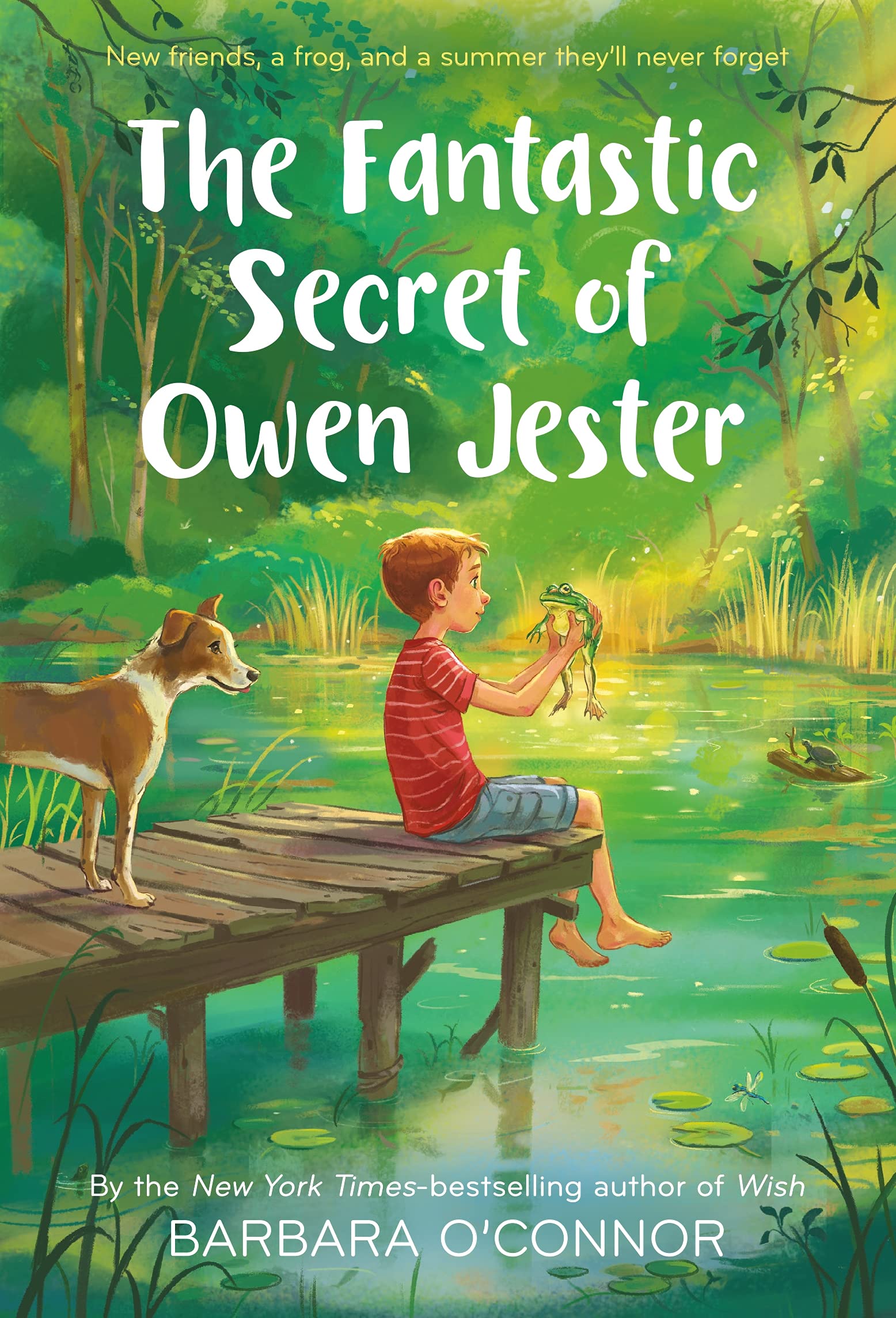 The Fantastic Secret of Owen Jester,Used