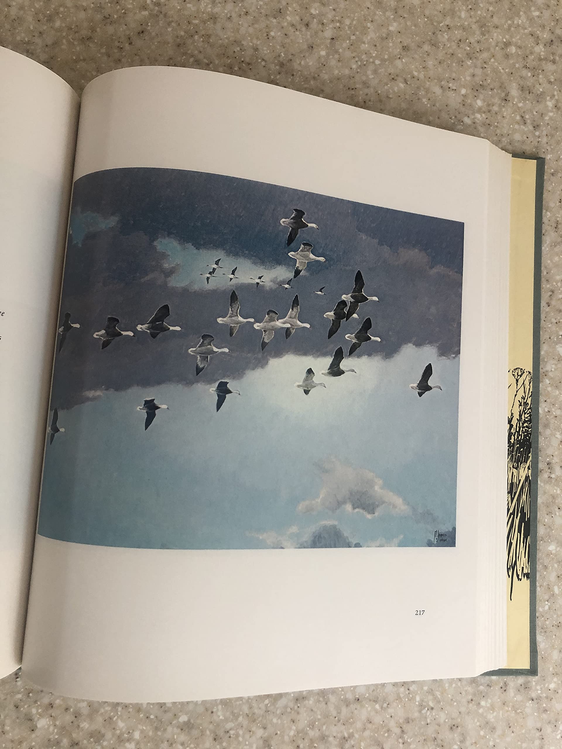 Francis Lee Jaques: Artist of the Wilderness World,Used