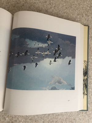 Francis Lee Jaques: Artist of the Wilderness World,Used