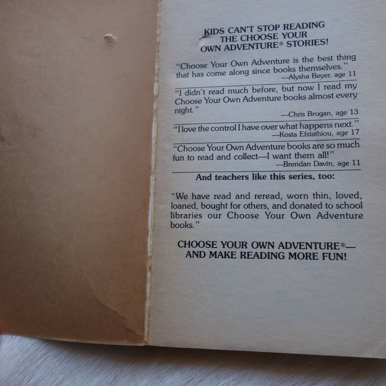 Journey To The Year 3000 (Choose Your Own Adventure: Super Adventure)