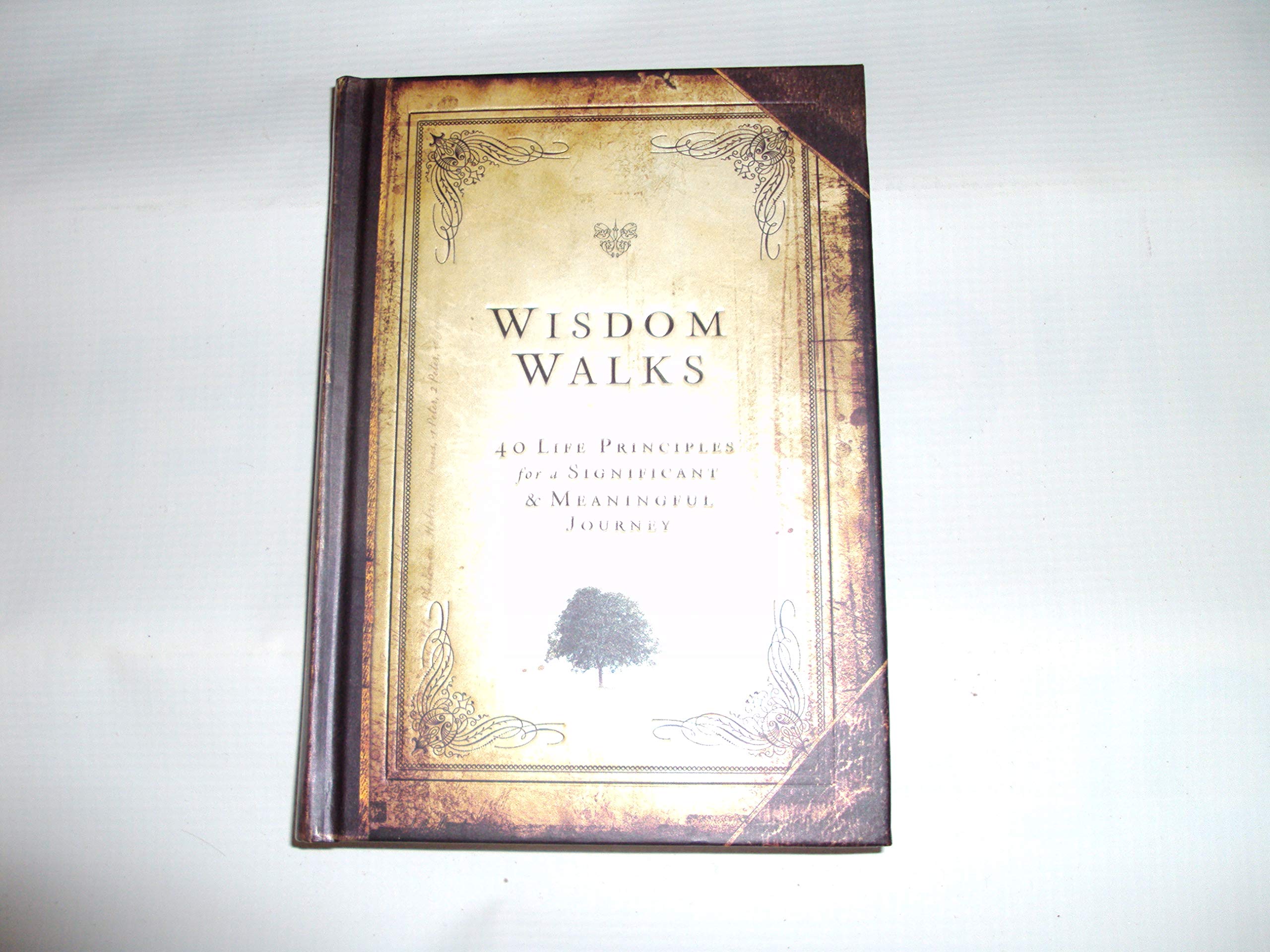 Wisdom Walks,Used