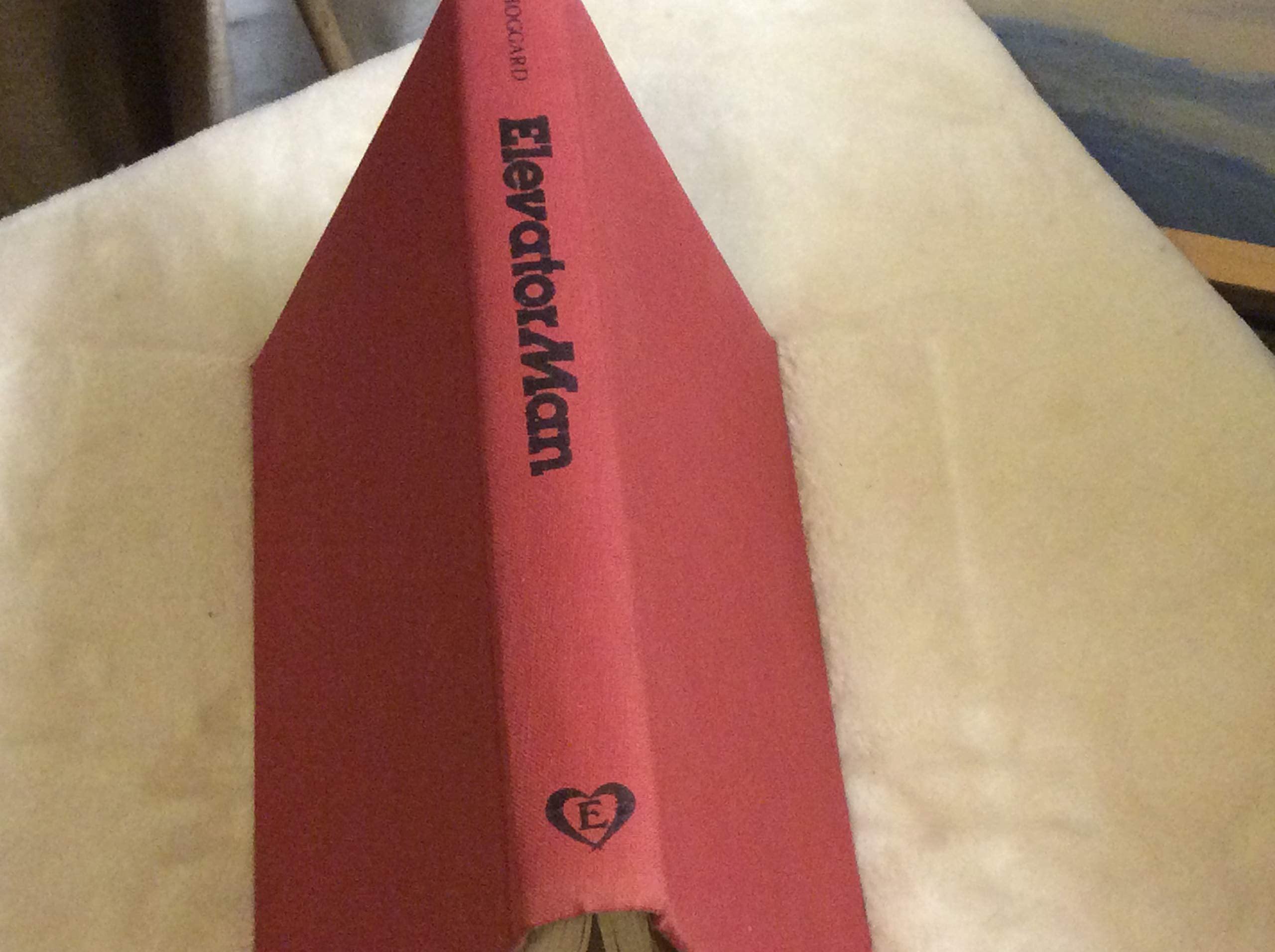 Elevator Man: The Bobby Johnson Story,Used