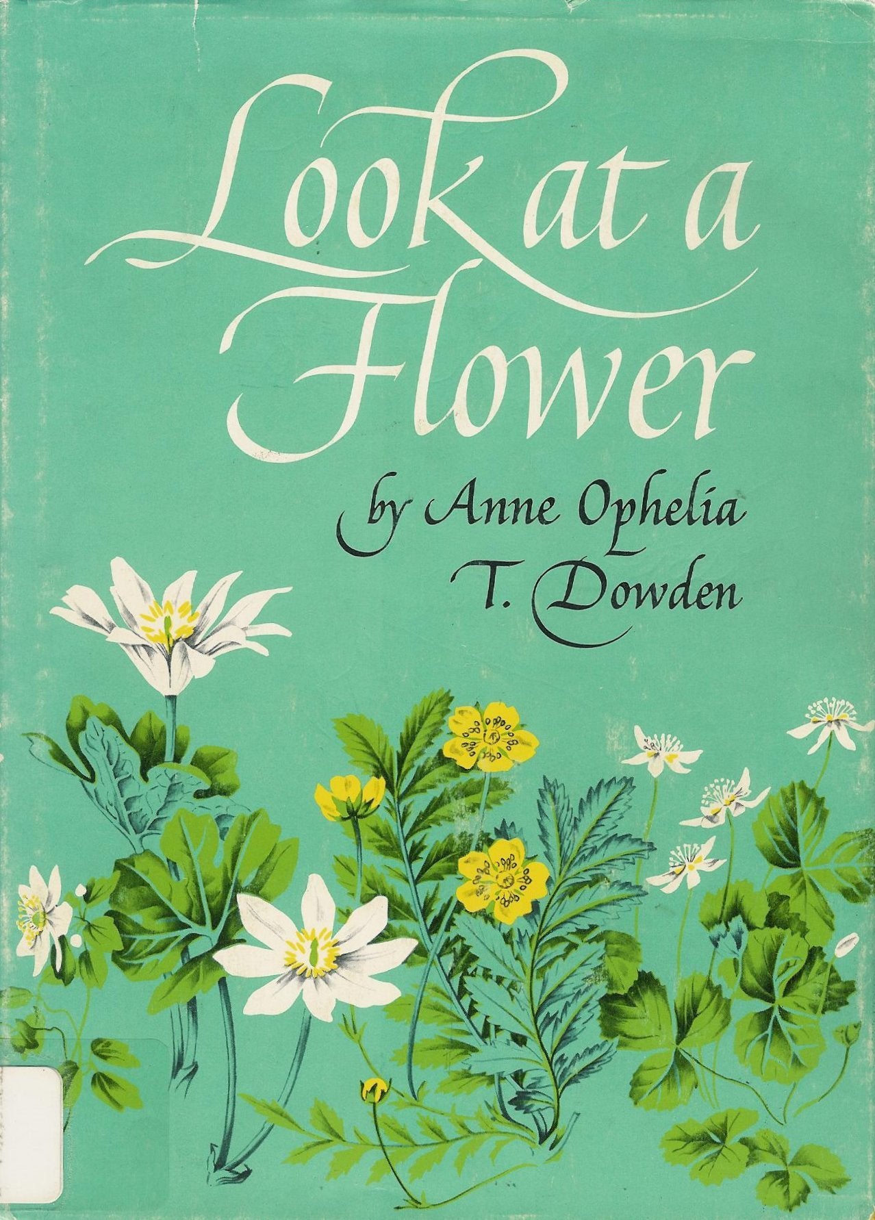 Look at a Flower.,Used