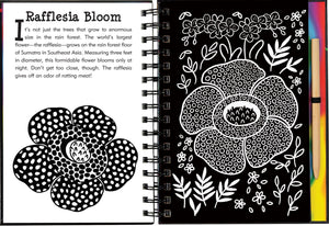 Scratch & Sketch Rain Forest (Trace Along),Used