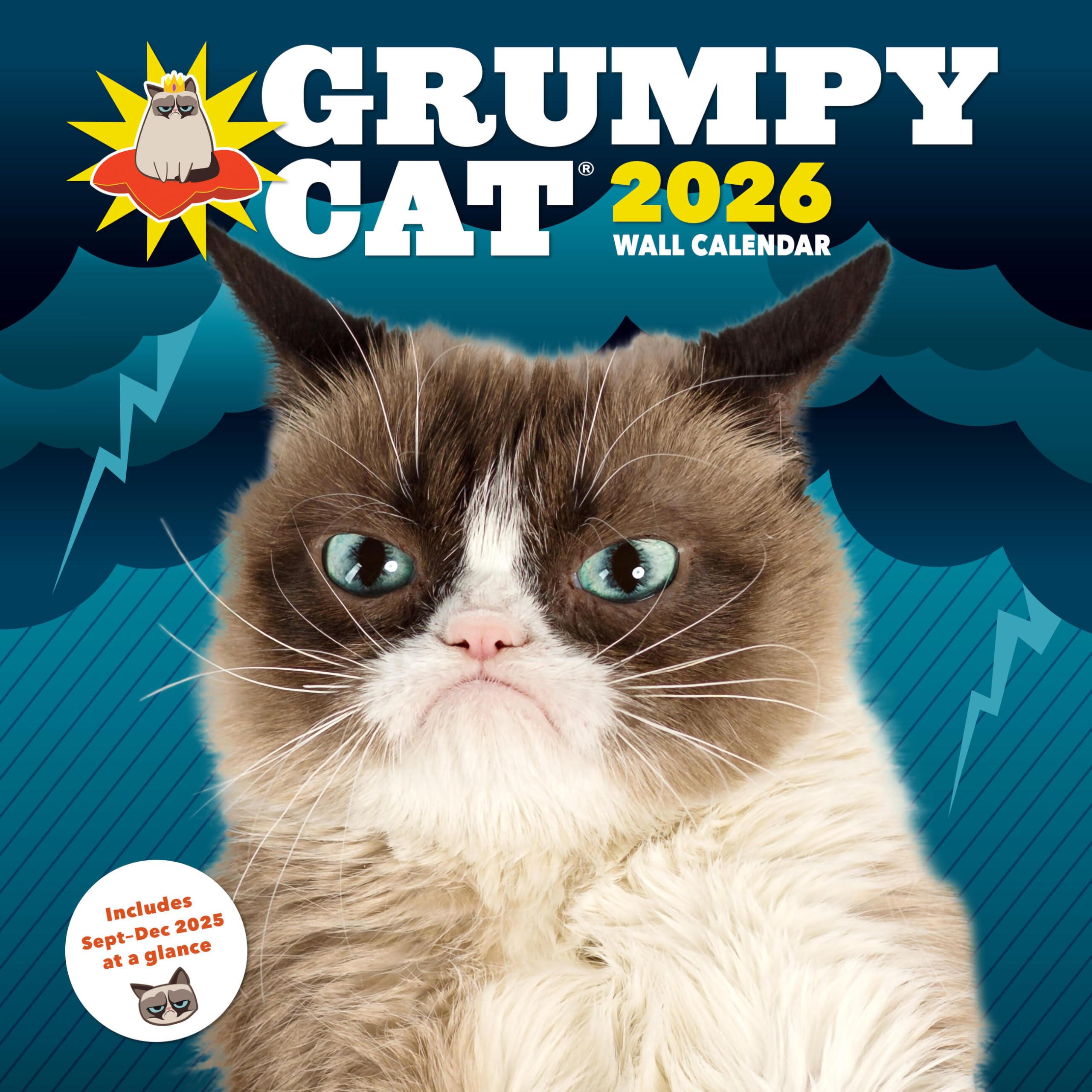 Cal 26 Grumpy Cat