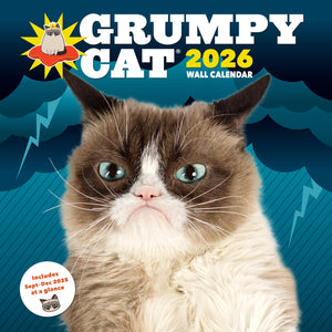 Cal 26 Grumpy Cat